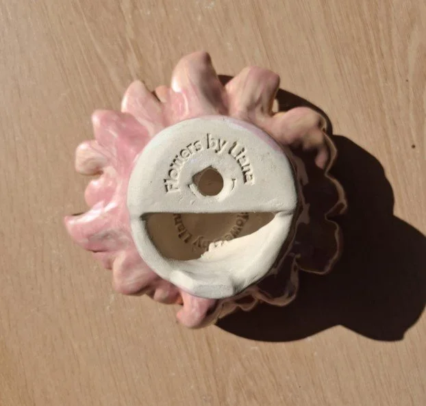 Large yellow & pink spikey dahlia back 2.jpg