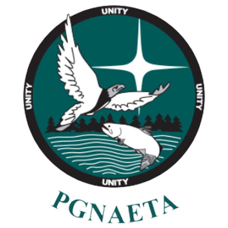 PGNAETA Logo