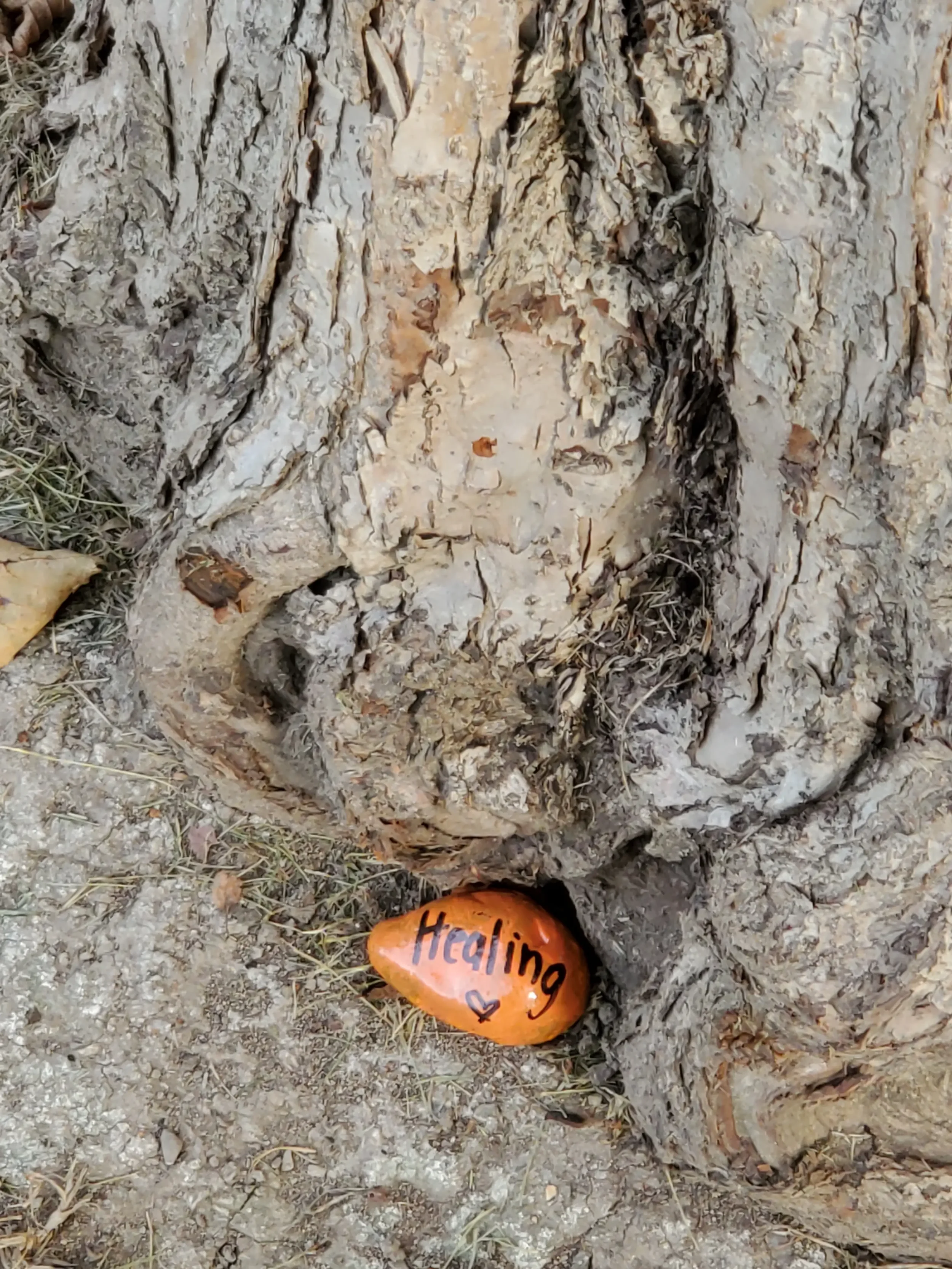A small orange stone with the word 'Healing' written on it and a small heart symbol, placed at the base of a tree trunk.