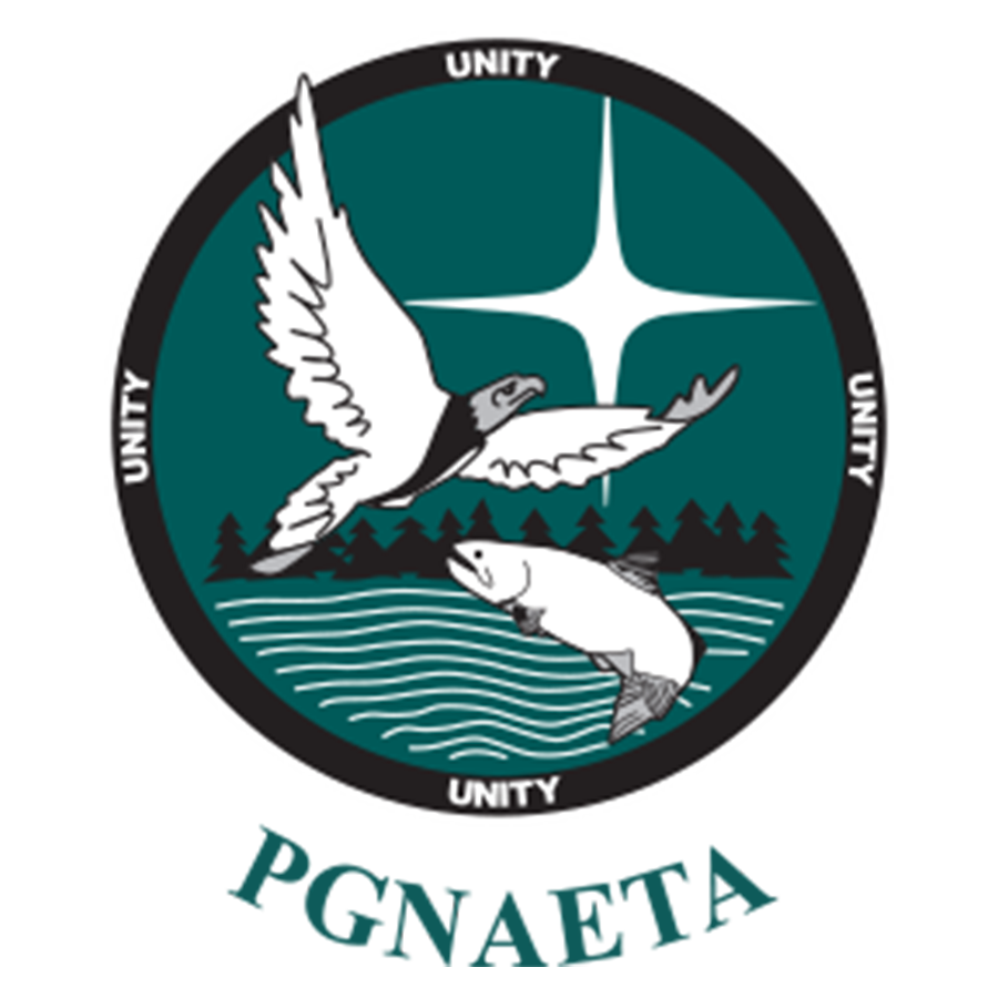 PGNAETA LOGO