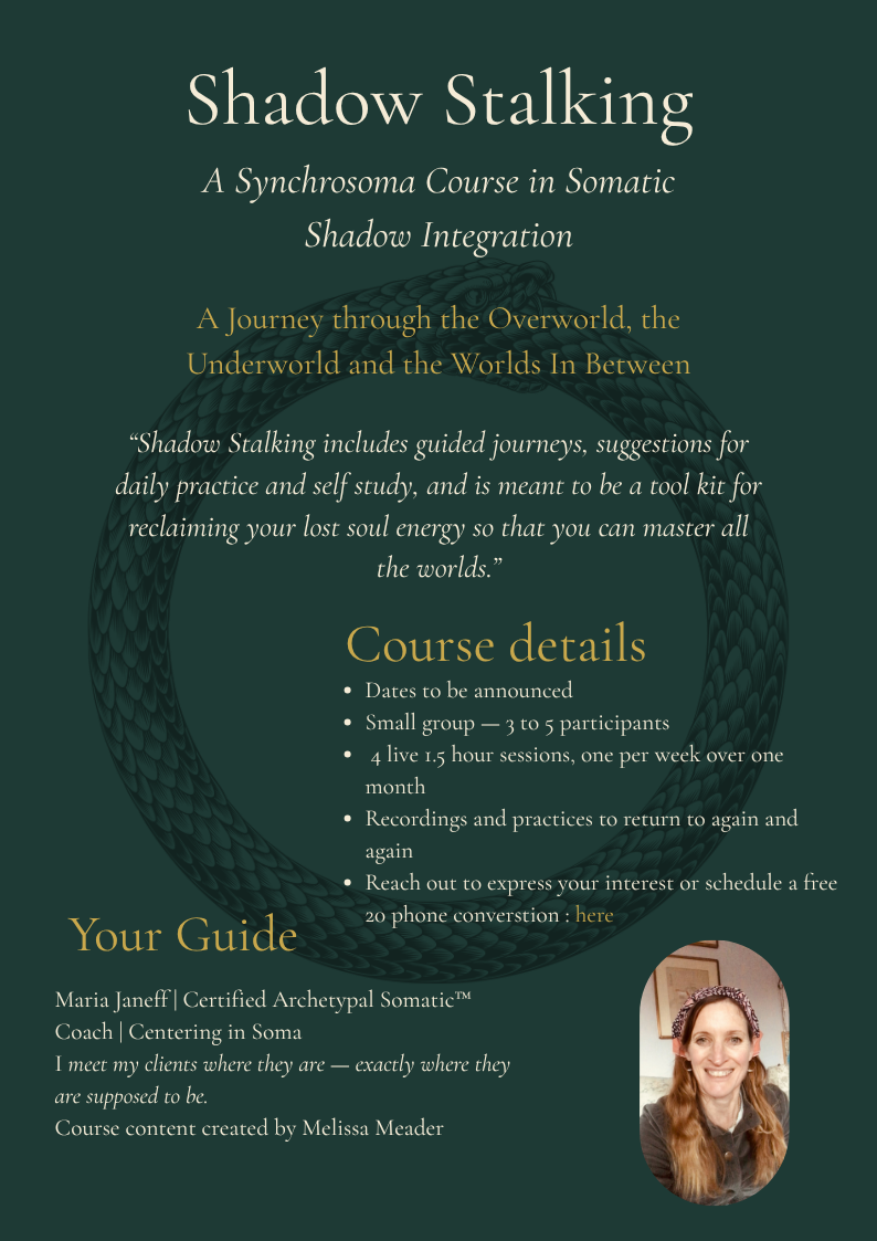 Promotional flyer for a course called "Shadow Stalking: A Synchrosoma Course in Somatic Shadow Integration" featuring a circular dragon illustration and a photograph of a smiling woman with long hair and a headband.