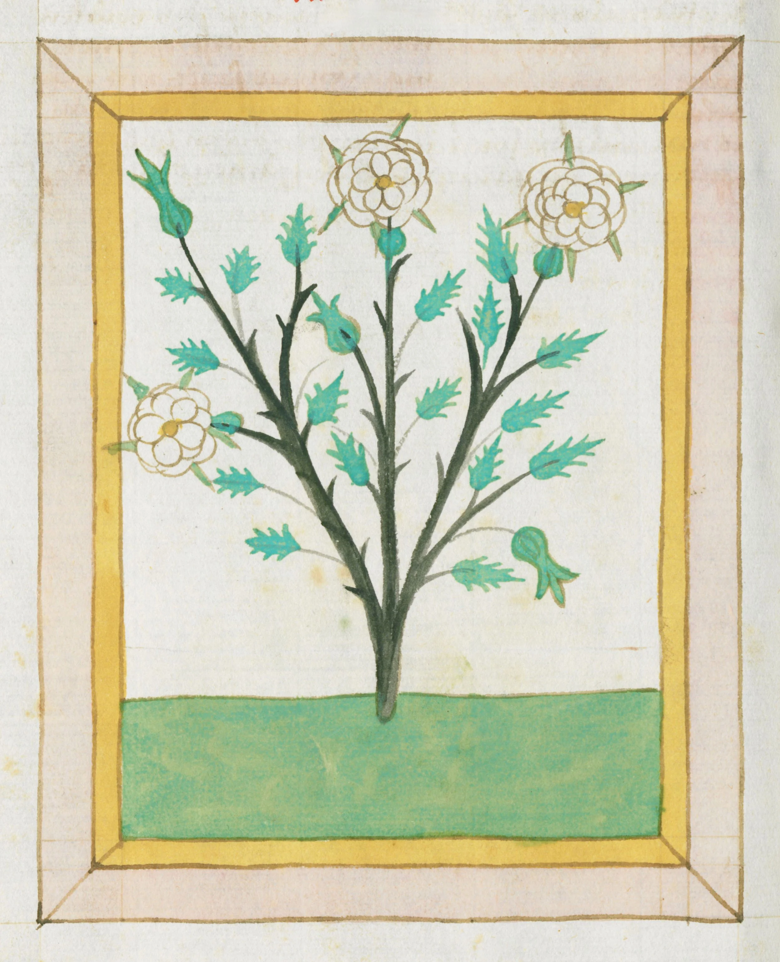 When the Mind takes over