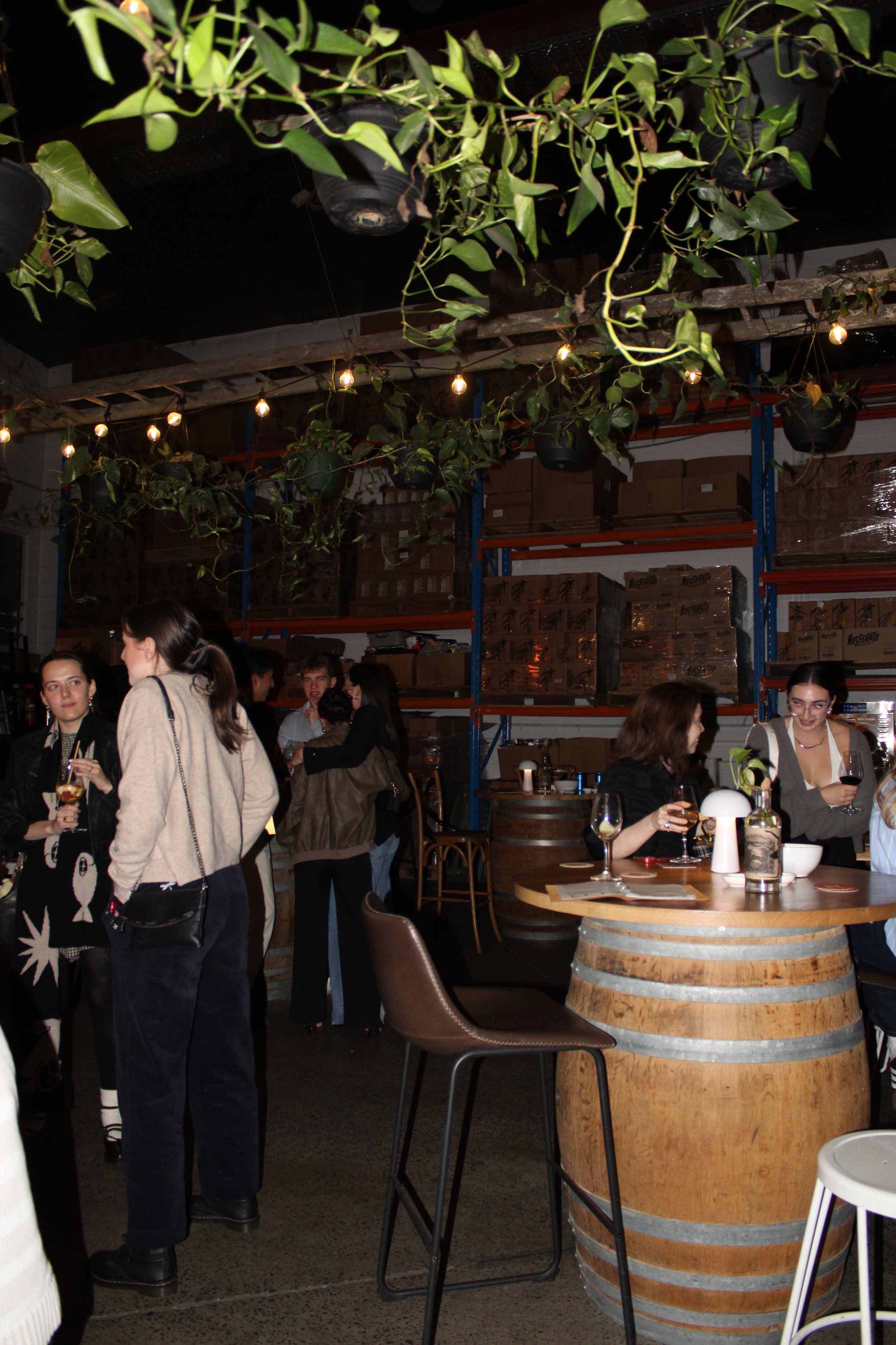 People socializing in a dimly lit indoor space with hanging plants, string lights, wooden shelves, and decor made from wine barrels, likely a bar or restaurant.