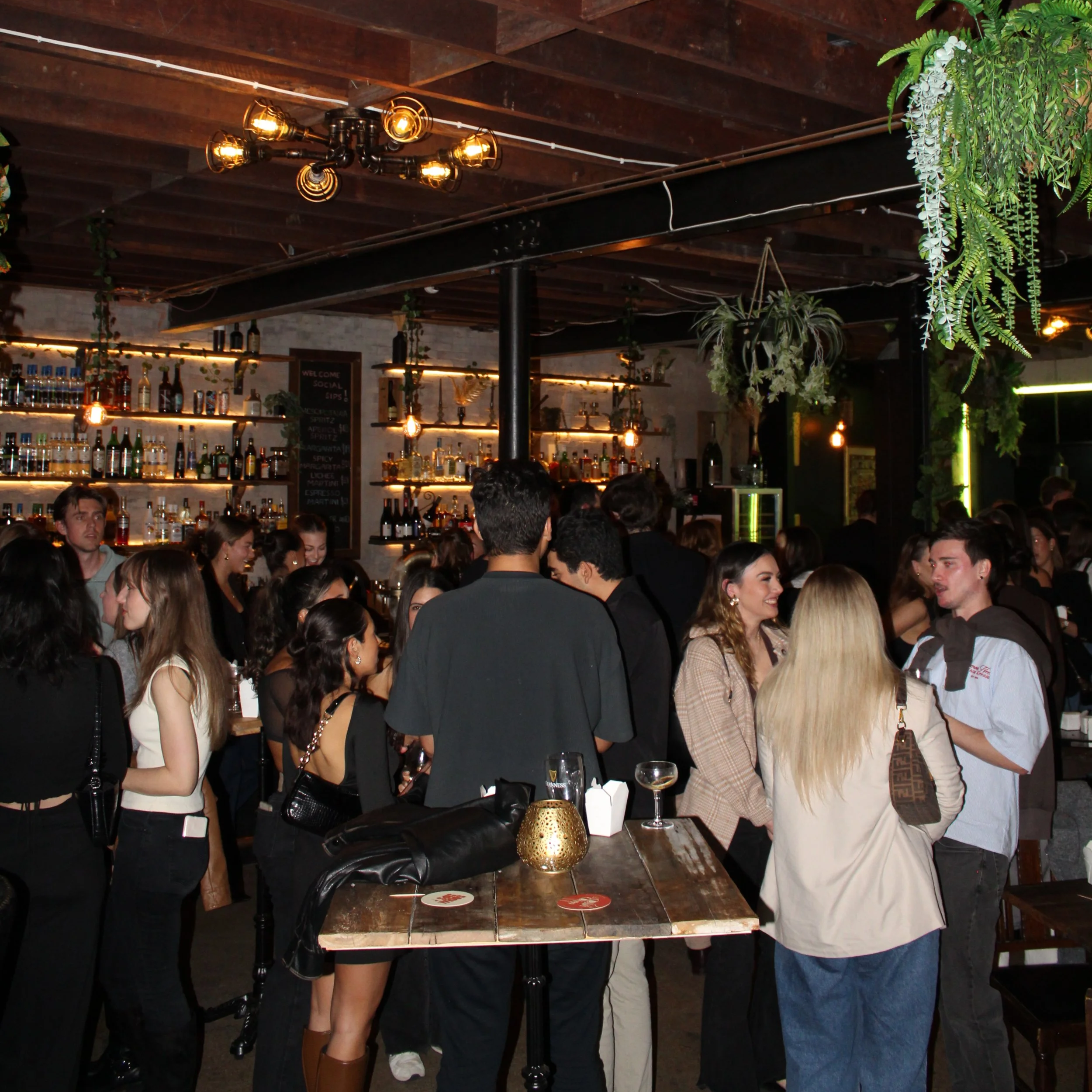 A crowded bar or nightclub with people socializing and enjoying drinks, illuminated by warm lighting, with a variety of bottles on shelves behind the bar, decorated with hanging plants.
