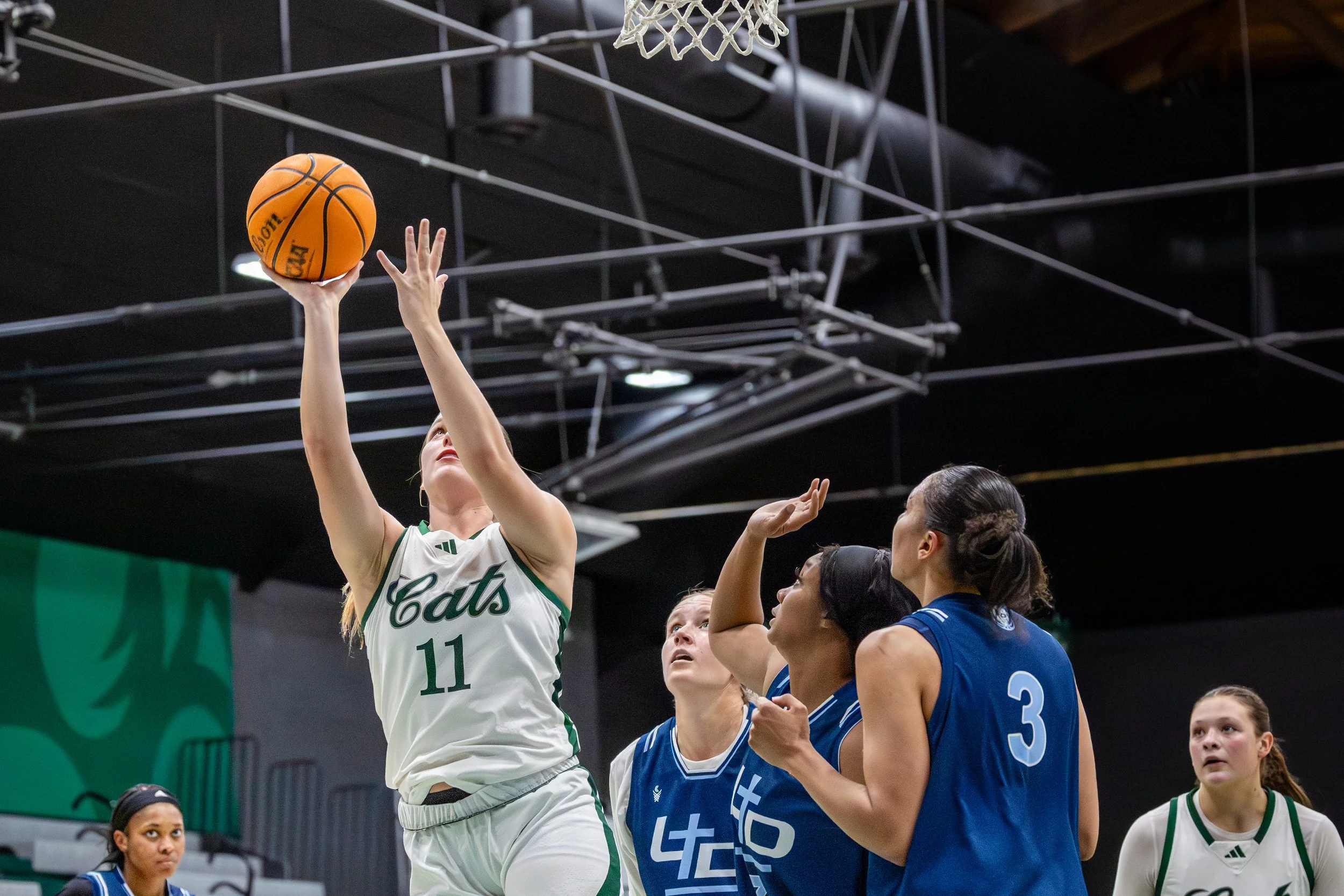 Northwest Womens Basketball