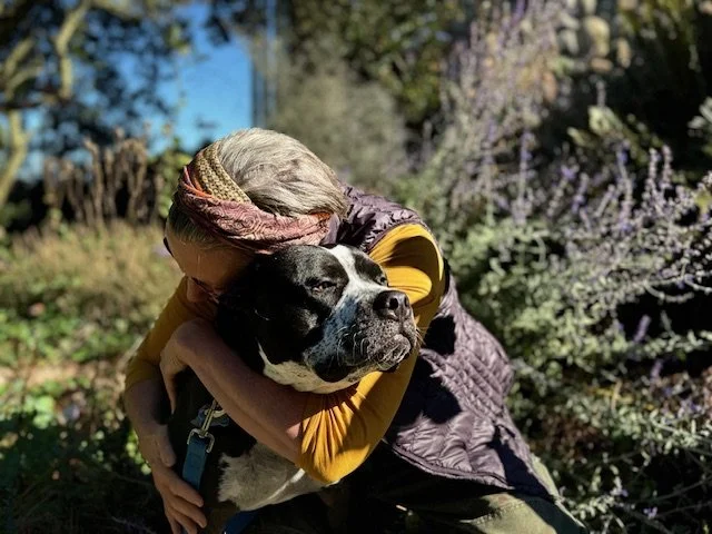 How Do I Know If My Animal Companion Has a Message for Me?