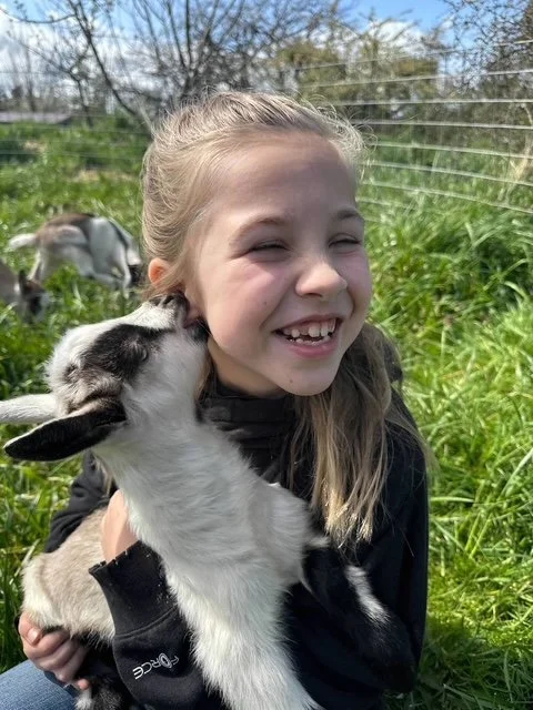 Is Animal Communication Real?