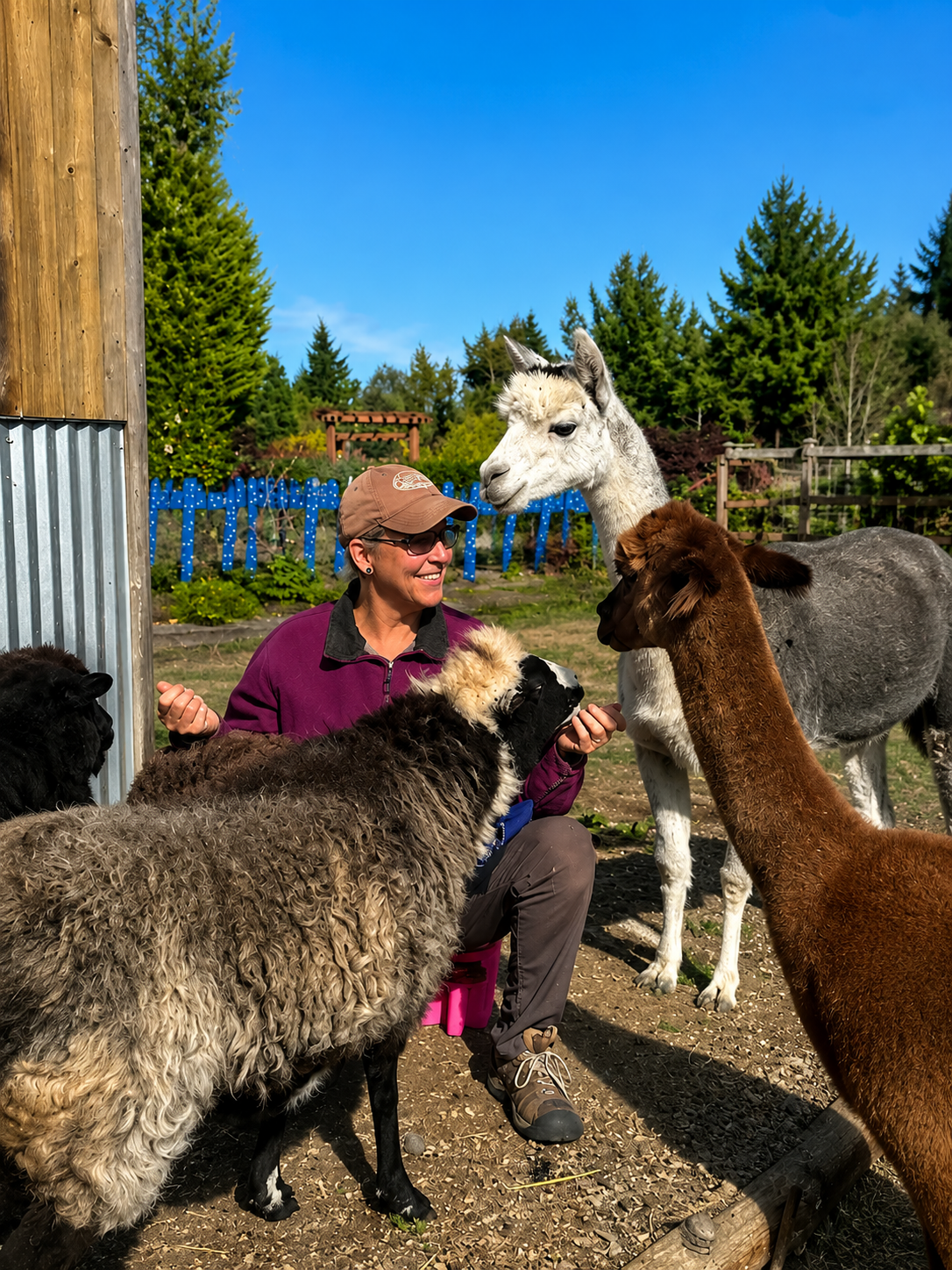 A woman in outdoor clothing and glasses, sitting on the ground, surrounded by llamas and alpacas during a sunny day in a farm or petting zoo, with trees and a blue sky in the background.