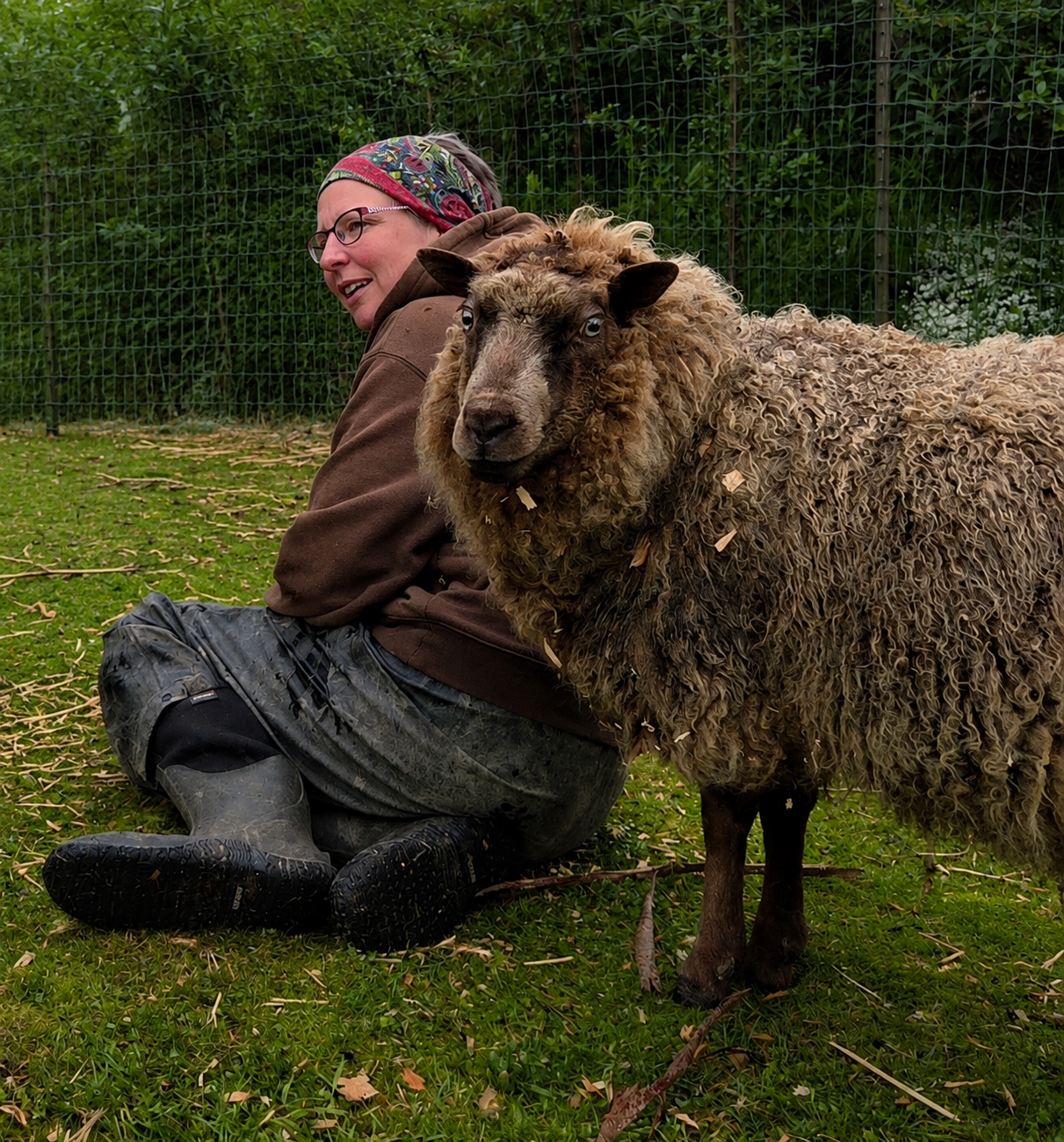 A woman kneeling on the grass with a curly-haired sheep standing beside her outdoors, fenced area with green foliage in the background.