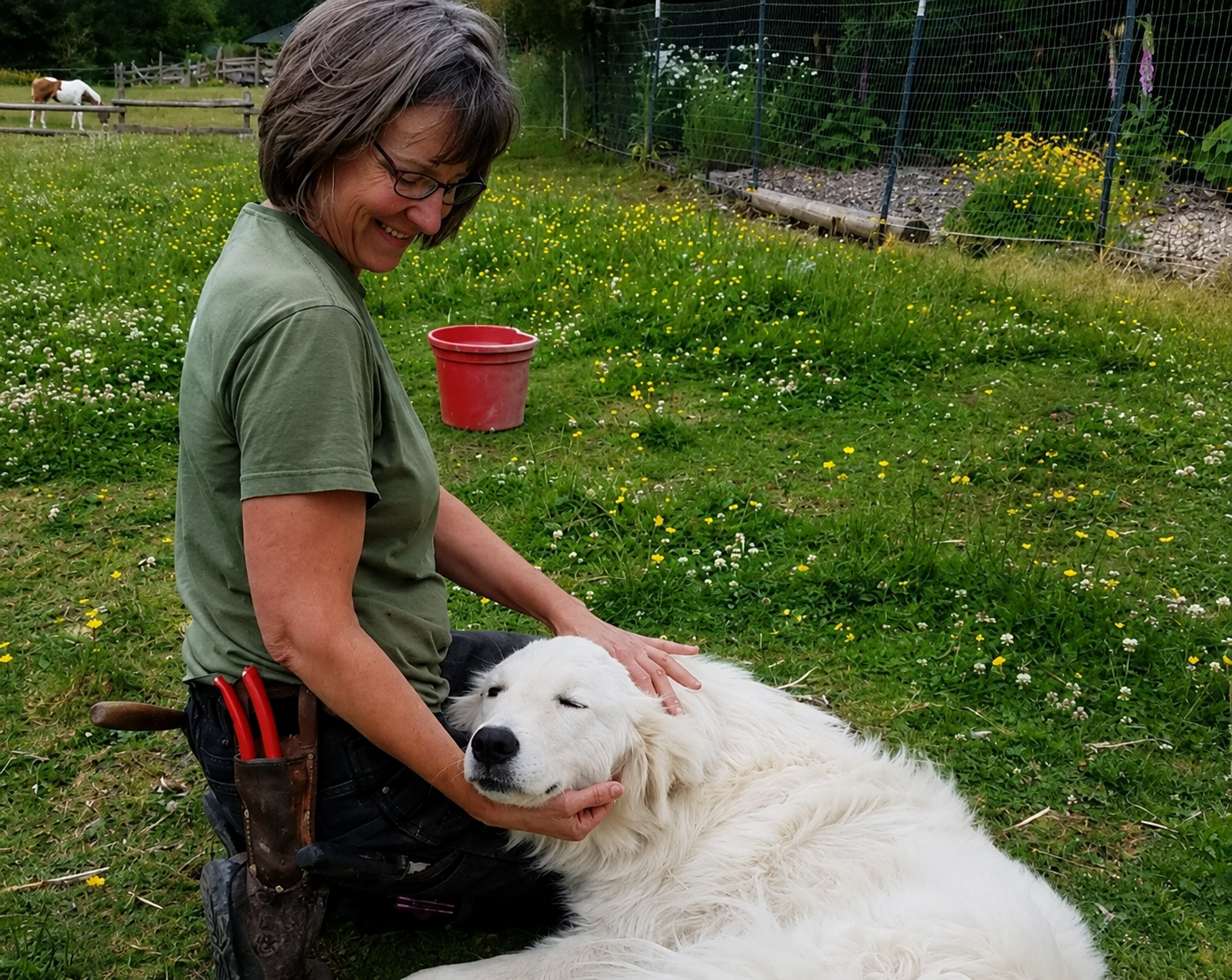 A woman smiling and petting a large white dog lying on the grass with yellow and white flowers, a red bucket, and a fenced area with plants and a horse in the background.