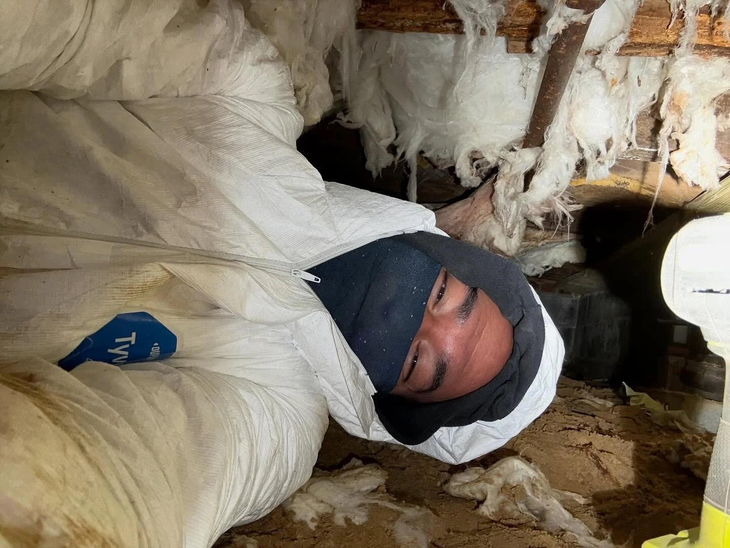 When you get up under a house and you find a bunch of snake skin. Spiders. A frog. And worn down insulation.