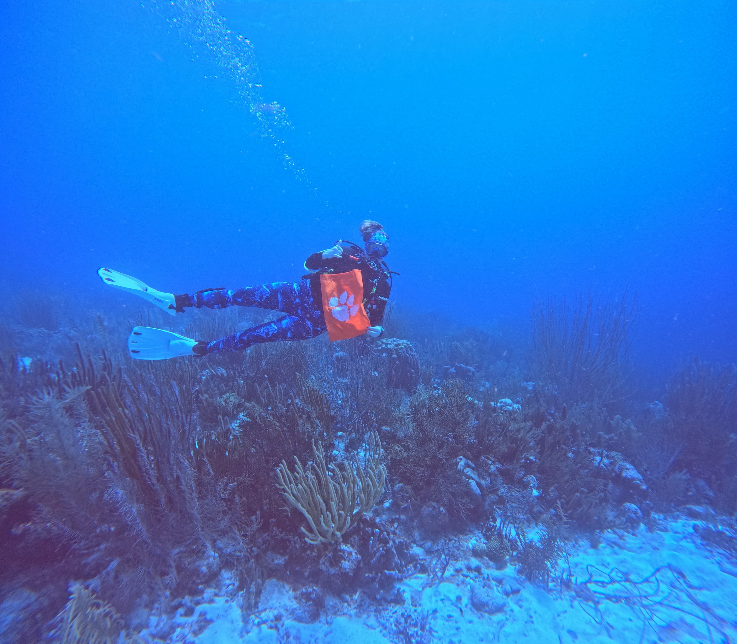 Cheering on the Clemson Tigers from Bonaire