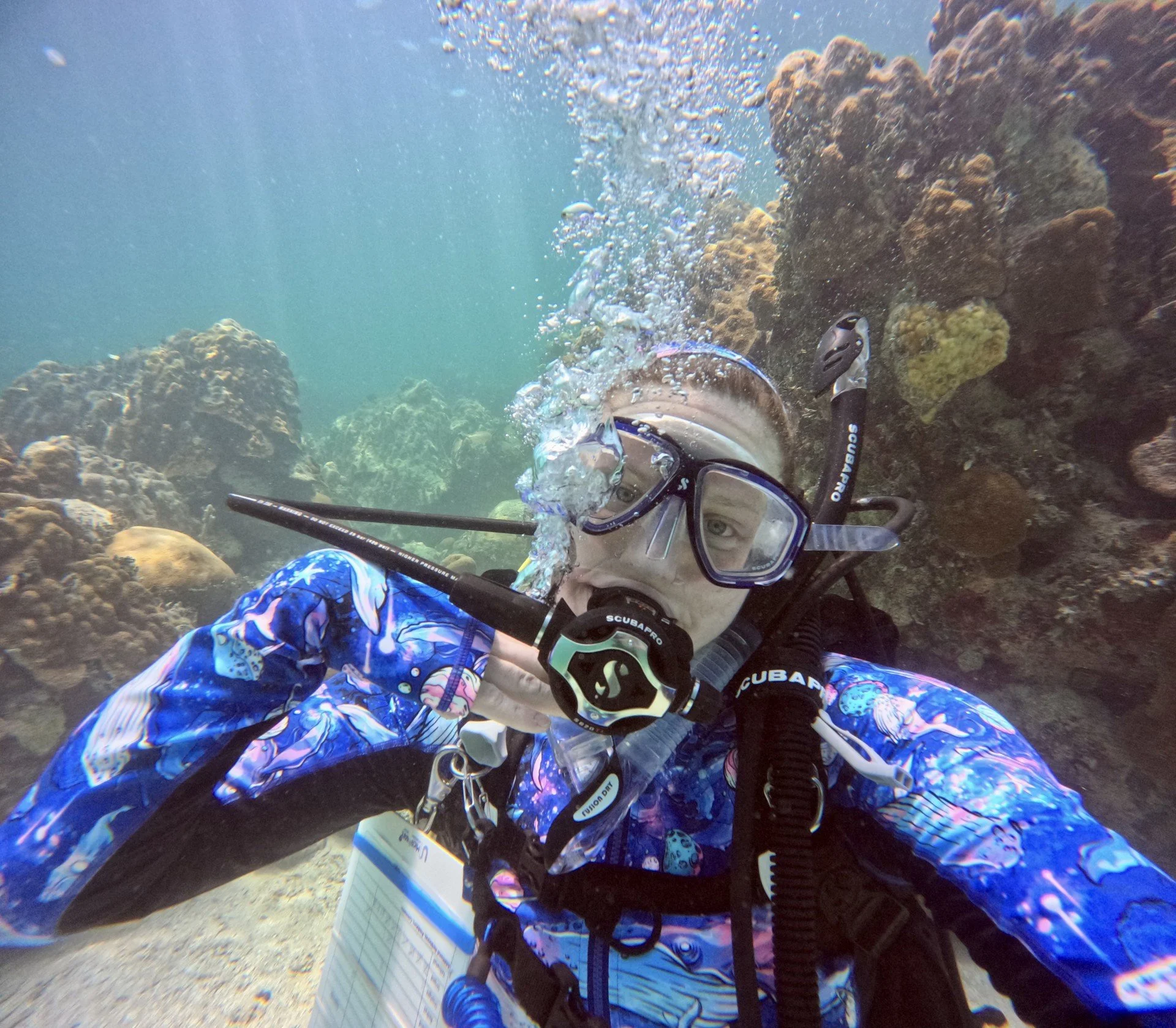 Fun dive in the Florida Keys