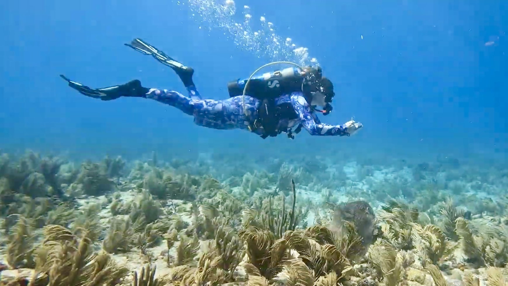 Conducting research in the Florida Keys