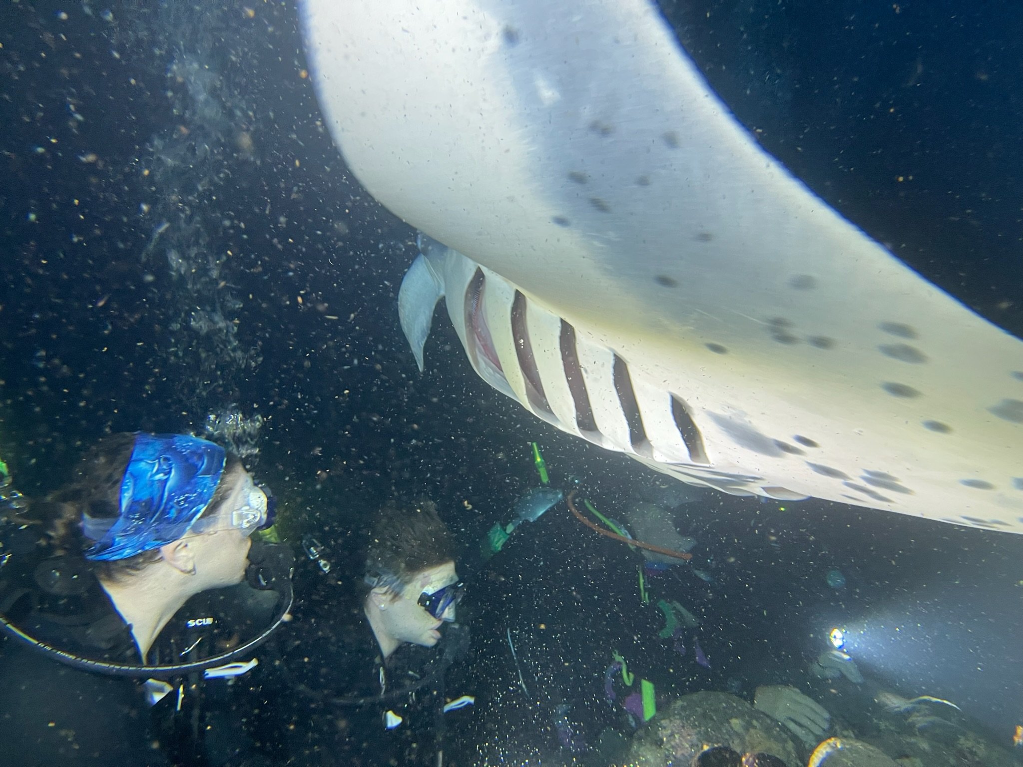 Manta ray night dive with Sam off the Big Island of Hawaii