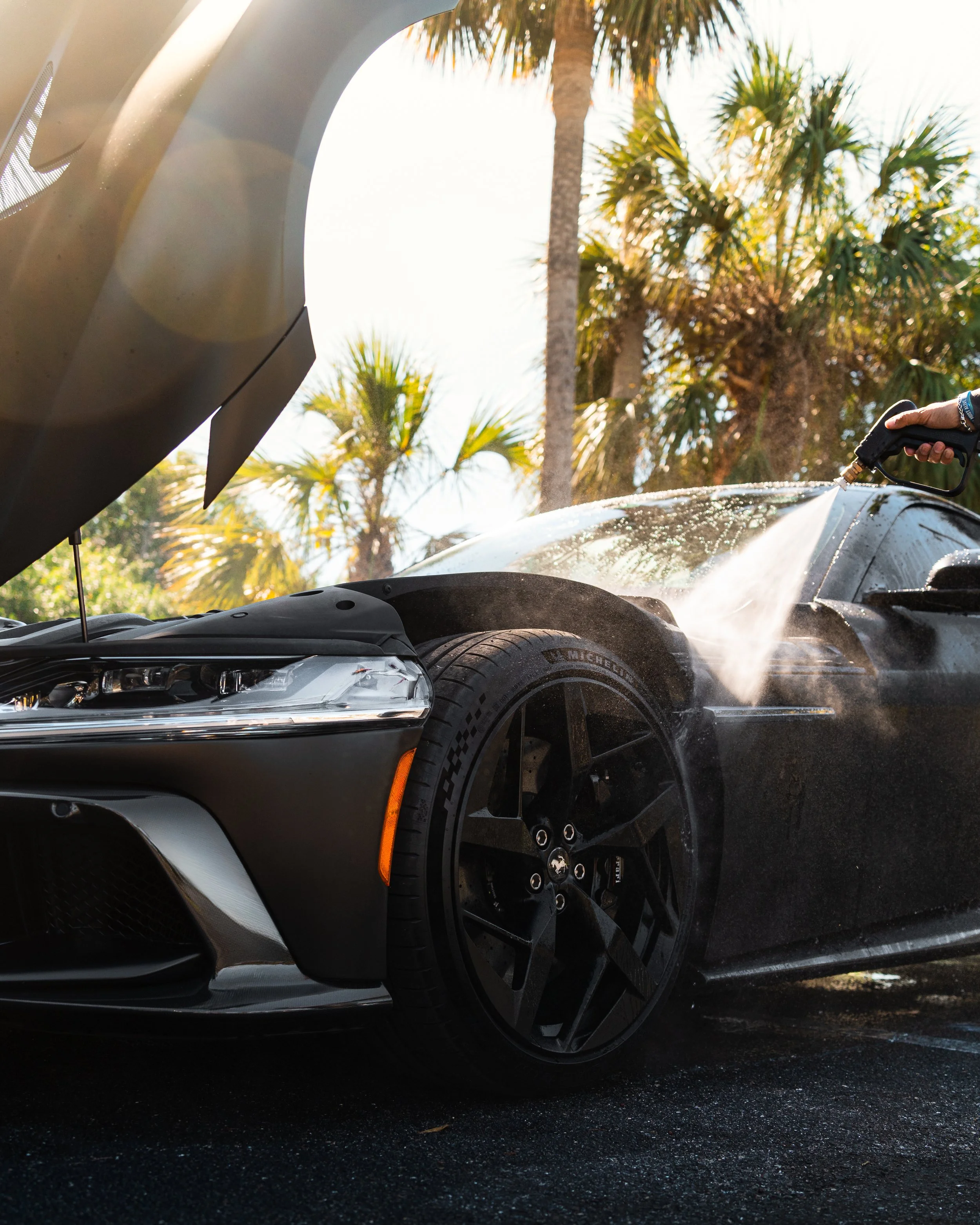 A black sports car being washed with water from a hose, with palm trees in the background.