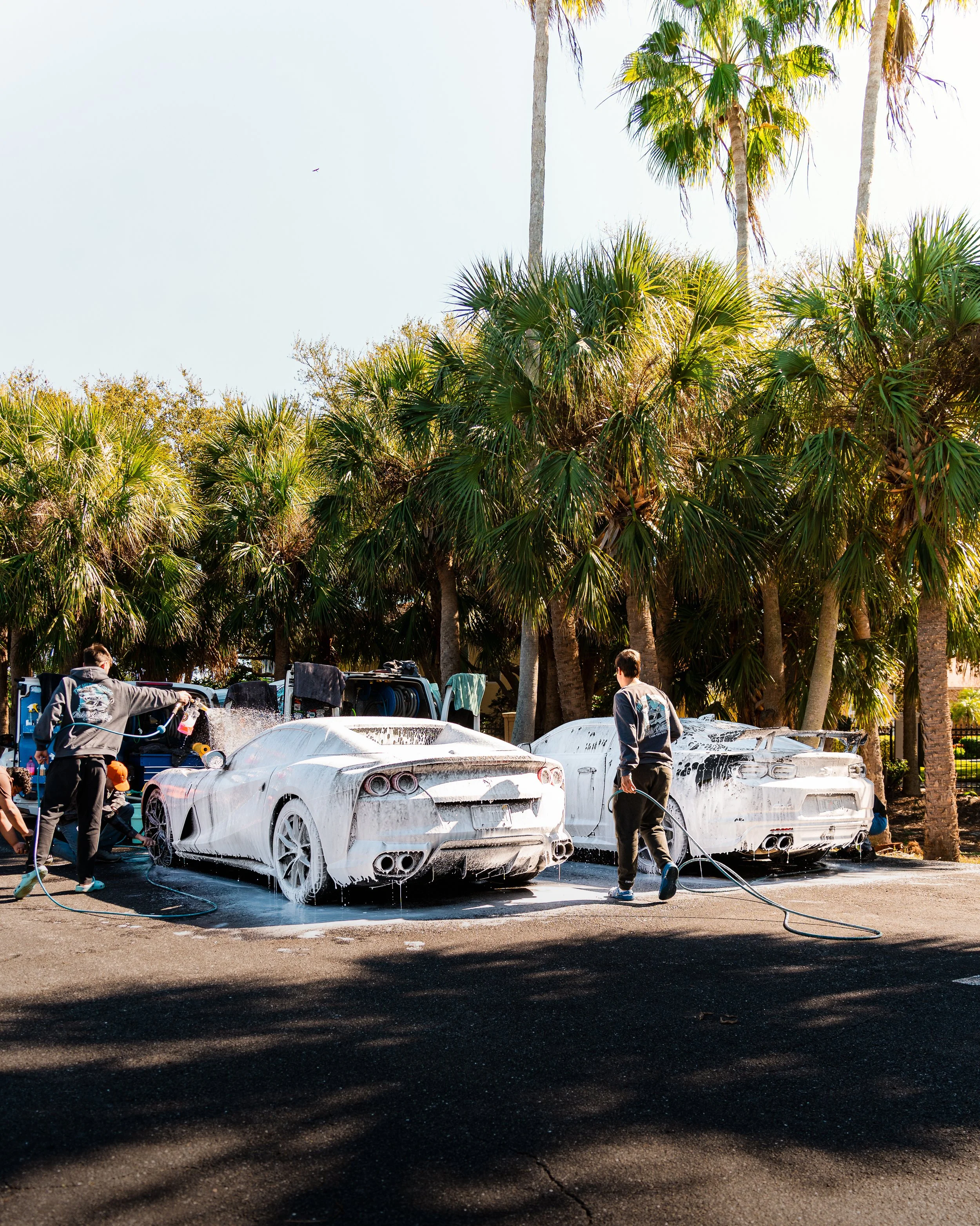 Two people washing white sports cars with foam, in an outdoor setting with tall palm trees and a clear sky.