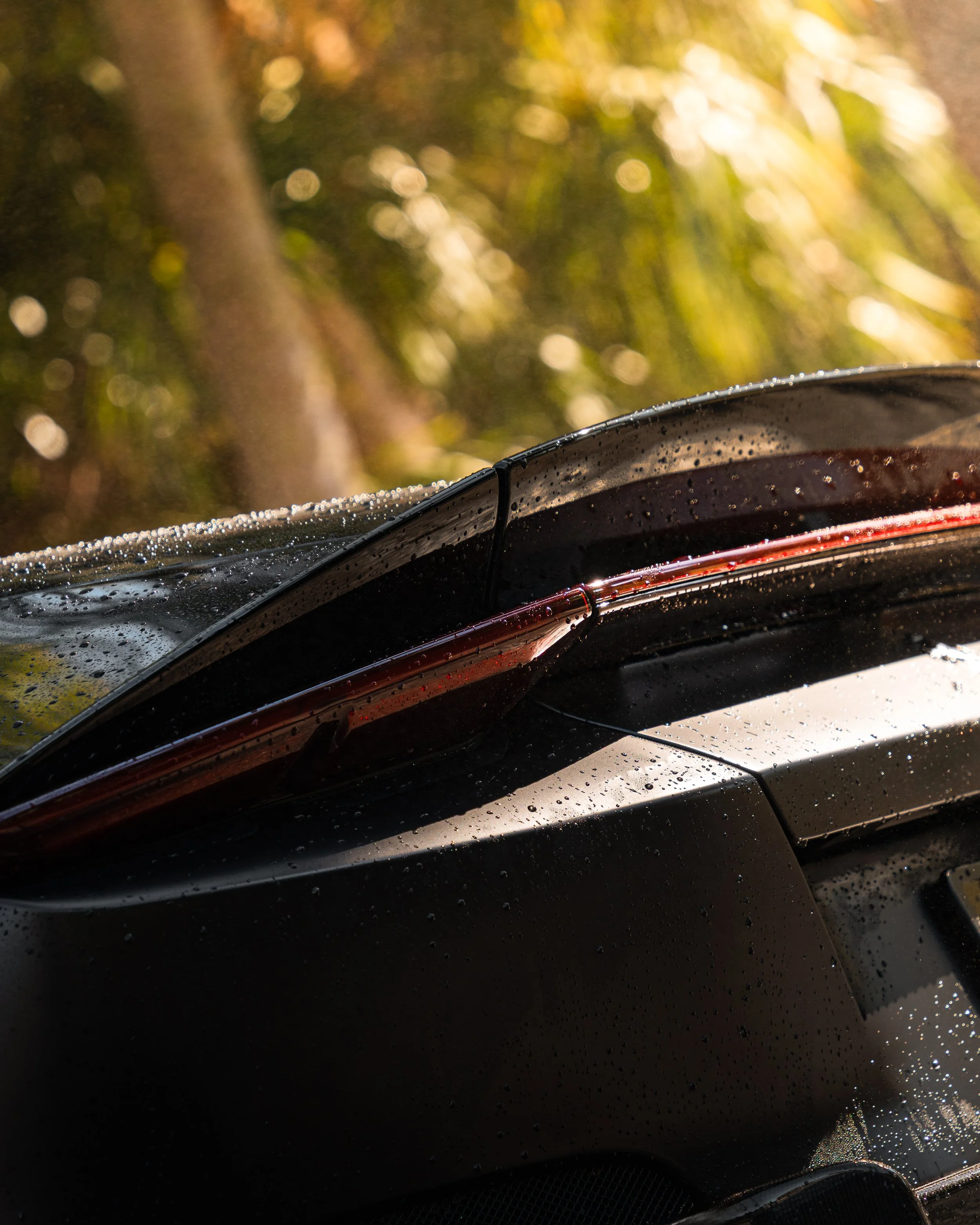 Close-up of the rear part of a black car with water droplets on it, showing the taillight and a background of blurred trees and foliage.