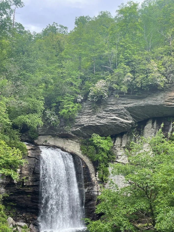 A scenic view of a waterfall flowing over rocks surrounded by lush green trees.