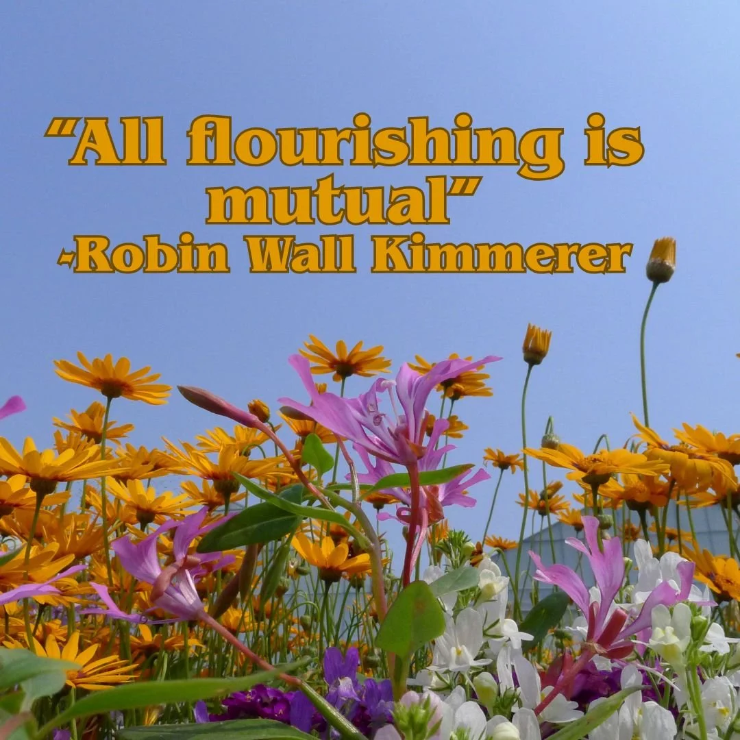 "All flourishing is mutual"- Robin Wall Kimmerer, author of Braiding Sweetgrass