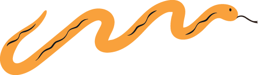 Illustration of a brown snake with a tan underside and a forked tongue, shown in a simple, stylized design.
