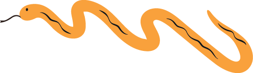 A simple drawing of a snake with an orange body on a black background.