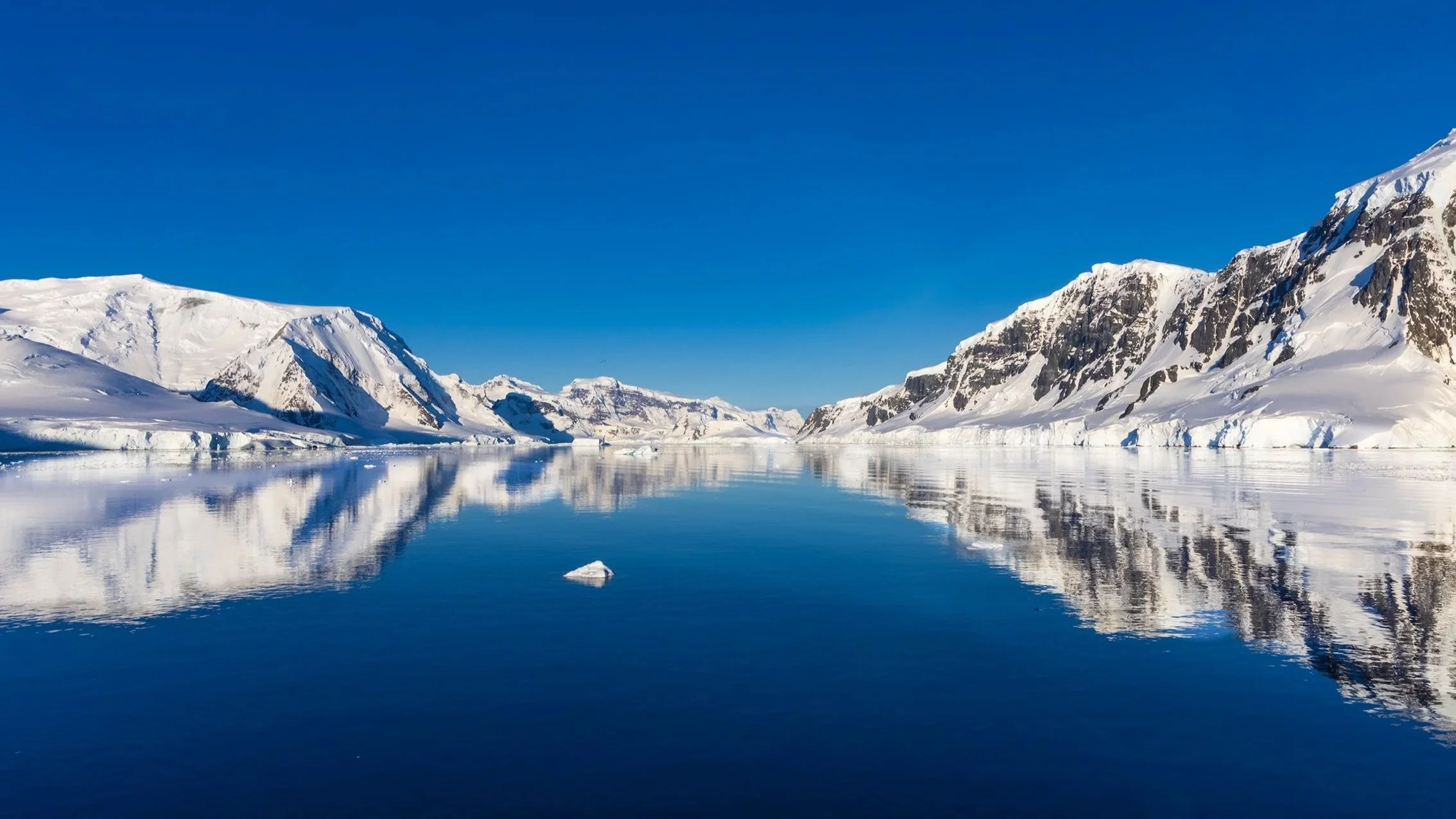 Reflections Antartica
