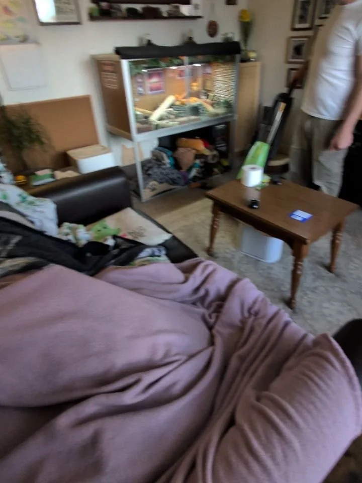 I work with anxious / fearful / reactive dogs. It's so fun to watch them overcome their fears of vacuums, dogs, cars, busses, trucks, landscapers.