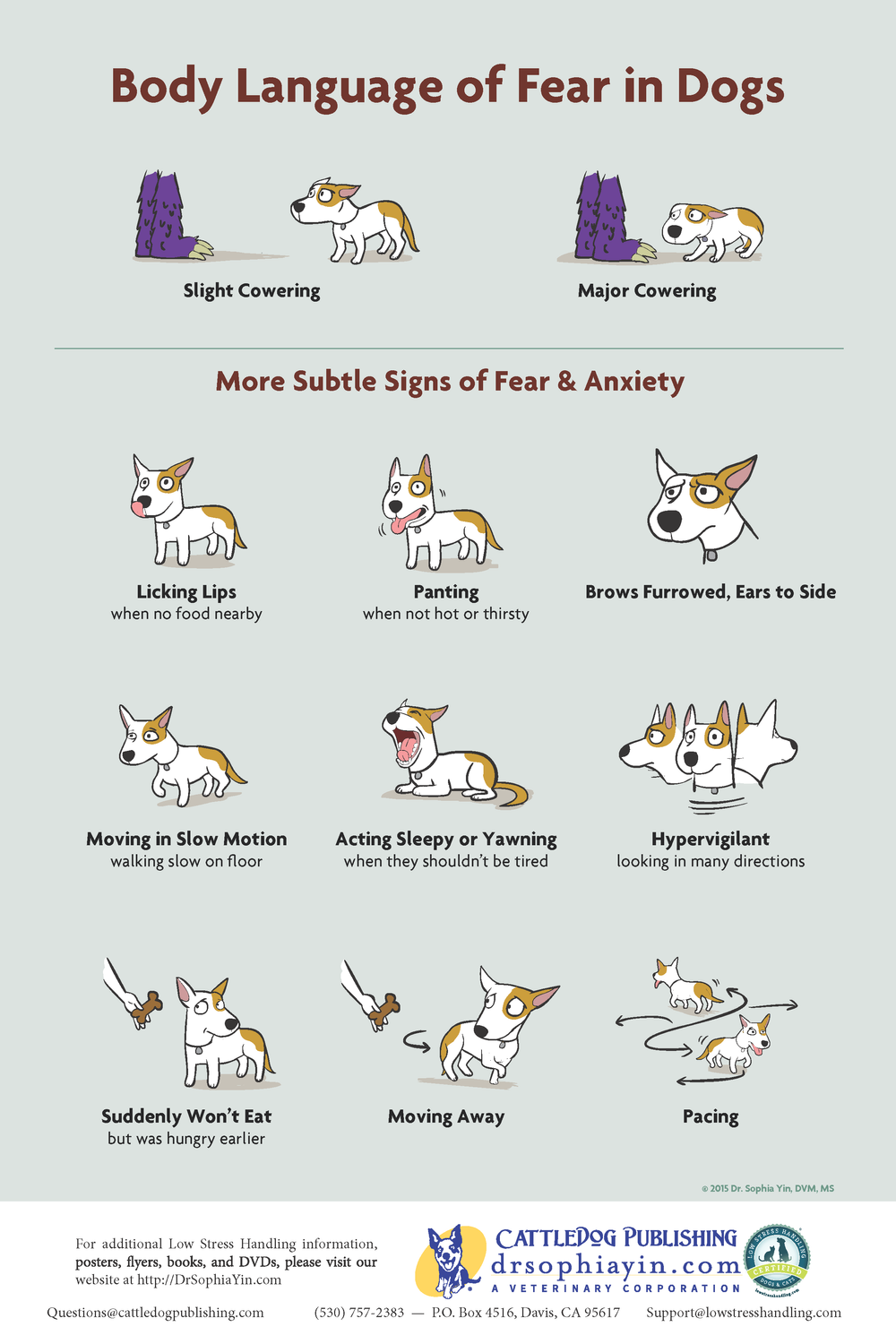 Infographic titled 'Body Language of Fear in Dogs' depicting signs of fear and anxiety in dogs, including slight cowering, major cowering, licking lips, panting, furrowed brows, slow movement, yawning, hypervigilance, refusing food, moving away, and