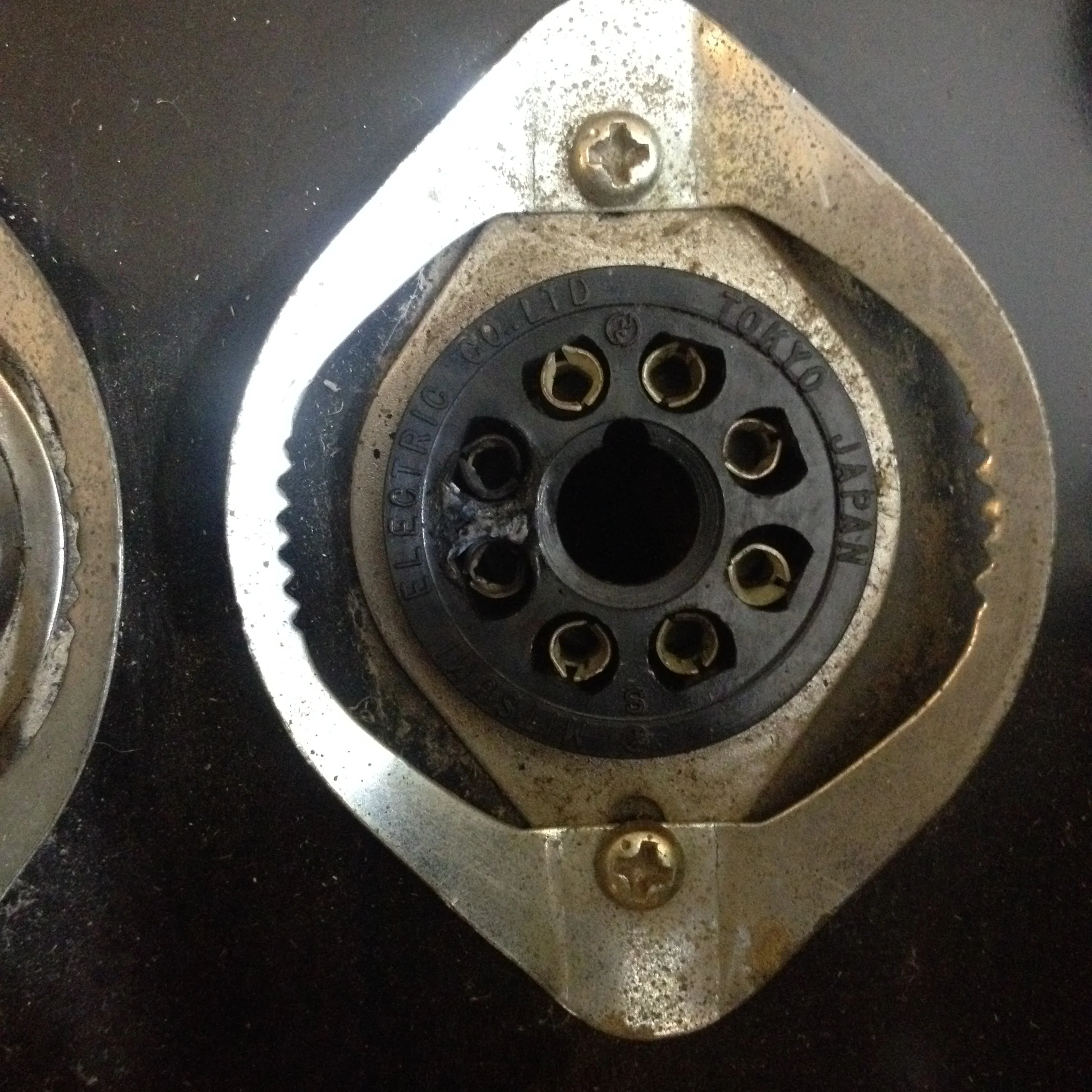 Seattle-Amp-Repair-Univox-2