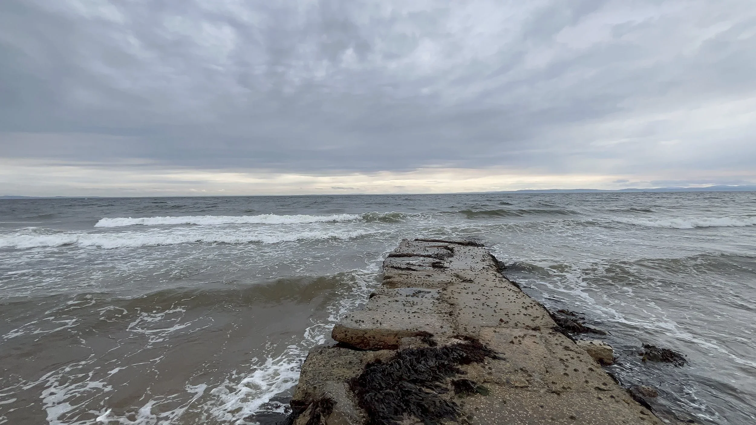 Release: An Overlooked Step in Learning Partnerships