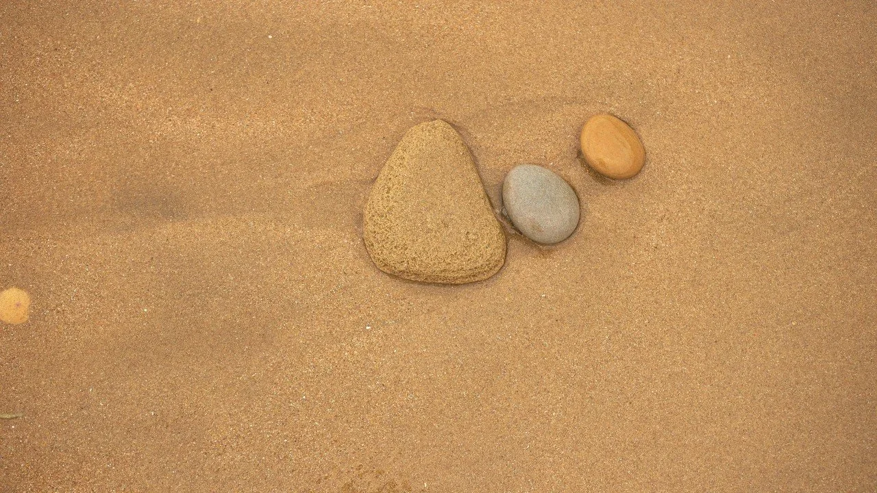 Learning in Public: The Paradox of Organisational Growth