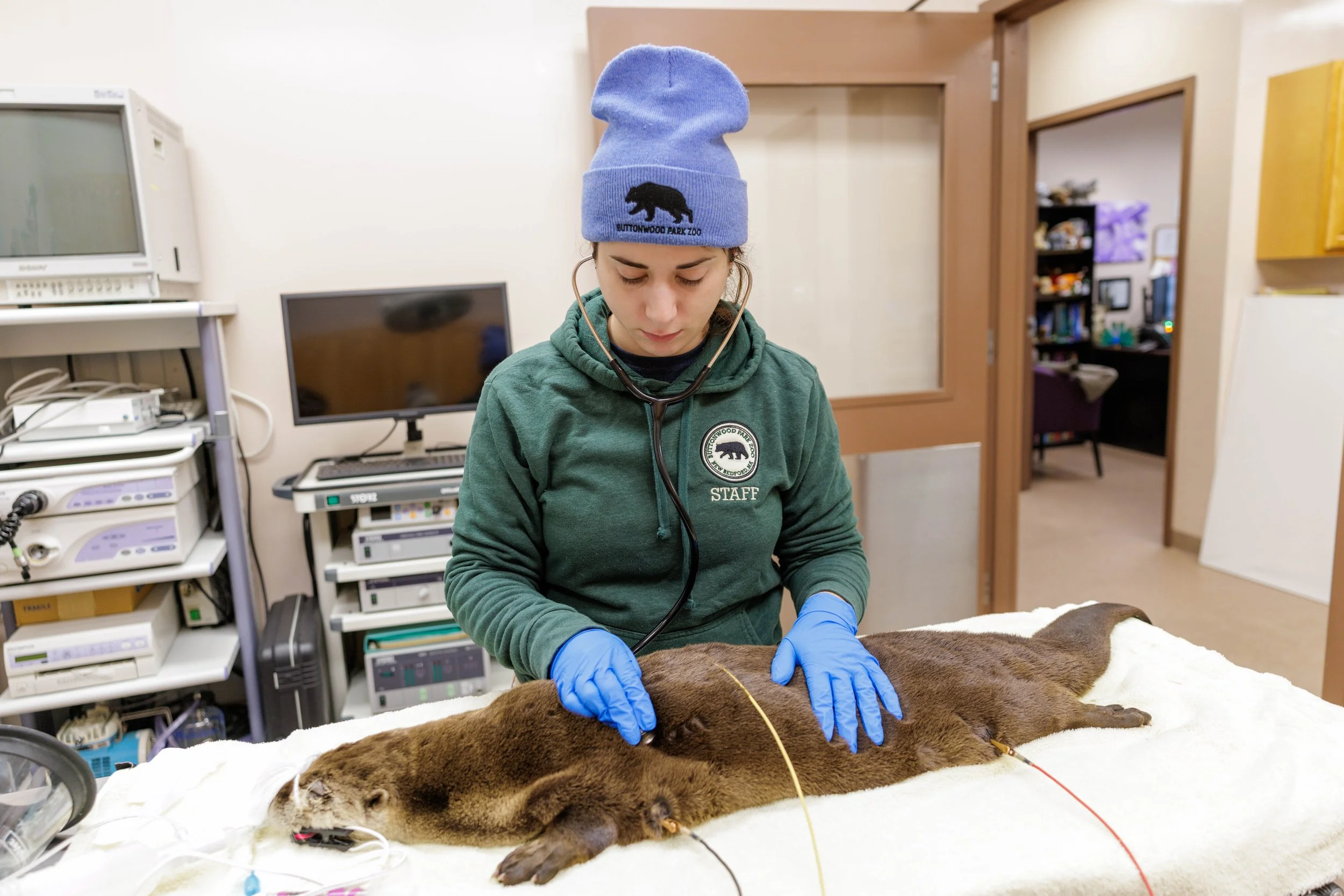 2025.1.30 BPZOO Otter.jpg
