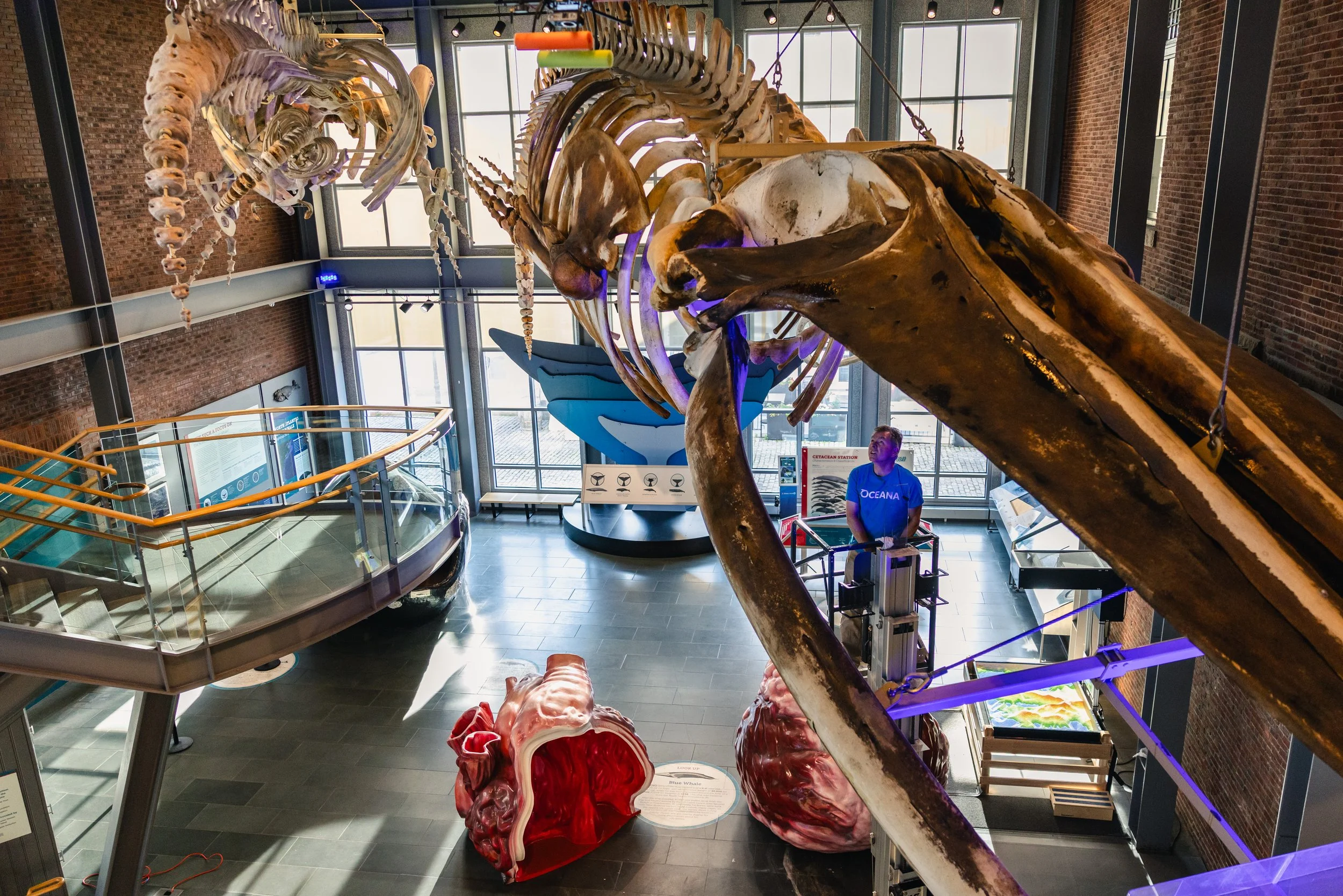 2025.7.24 NBWM Robert Rocha Paints Whale Bones-6.jpg