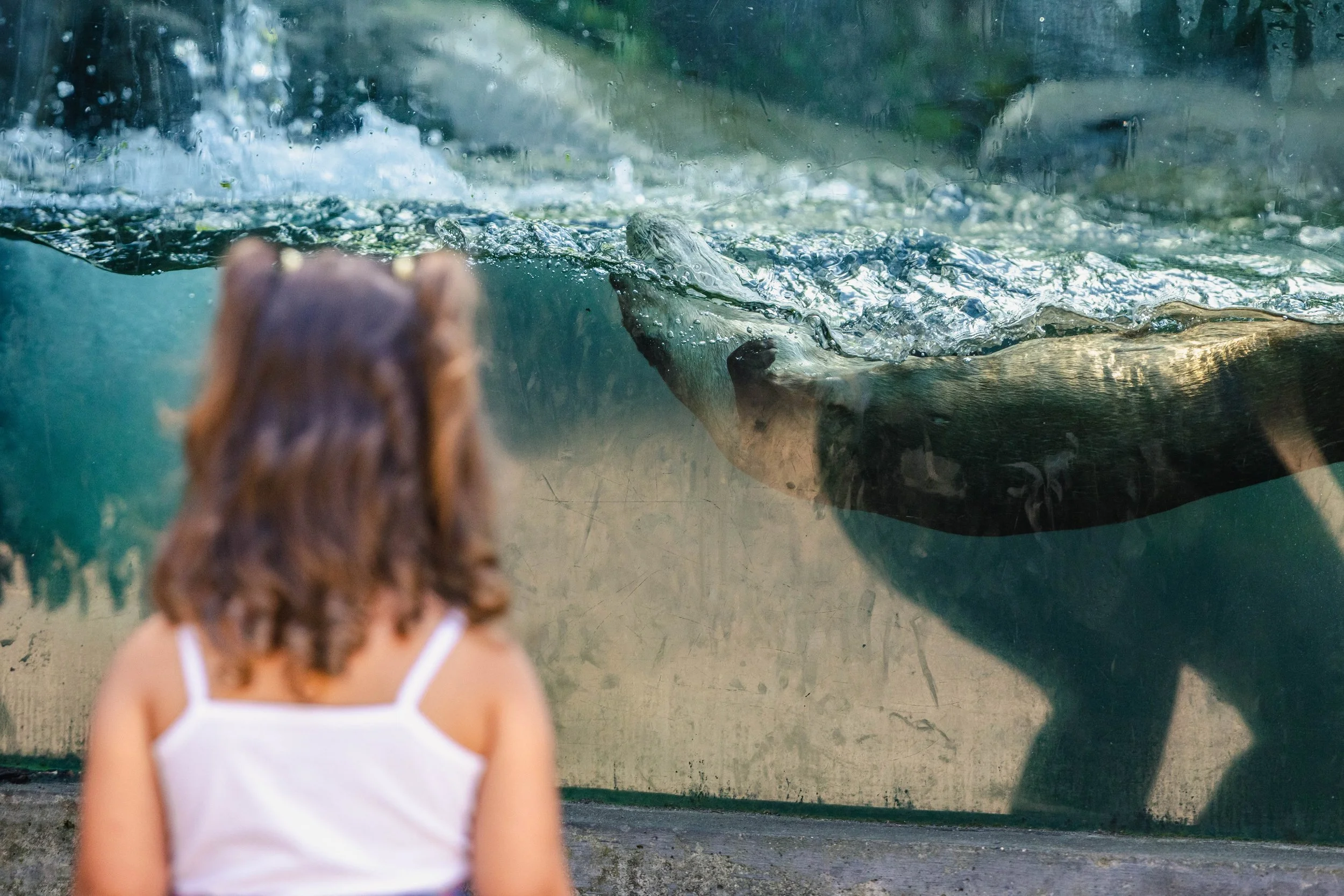 2025.9.4 BPZOO-Otter-Girl-3.jpg