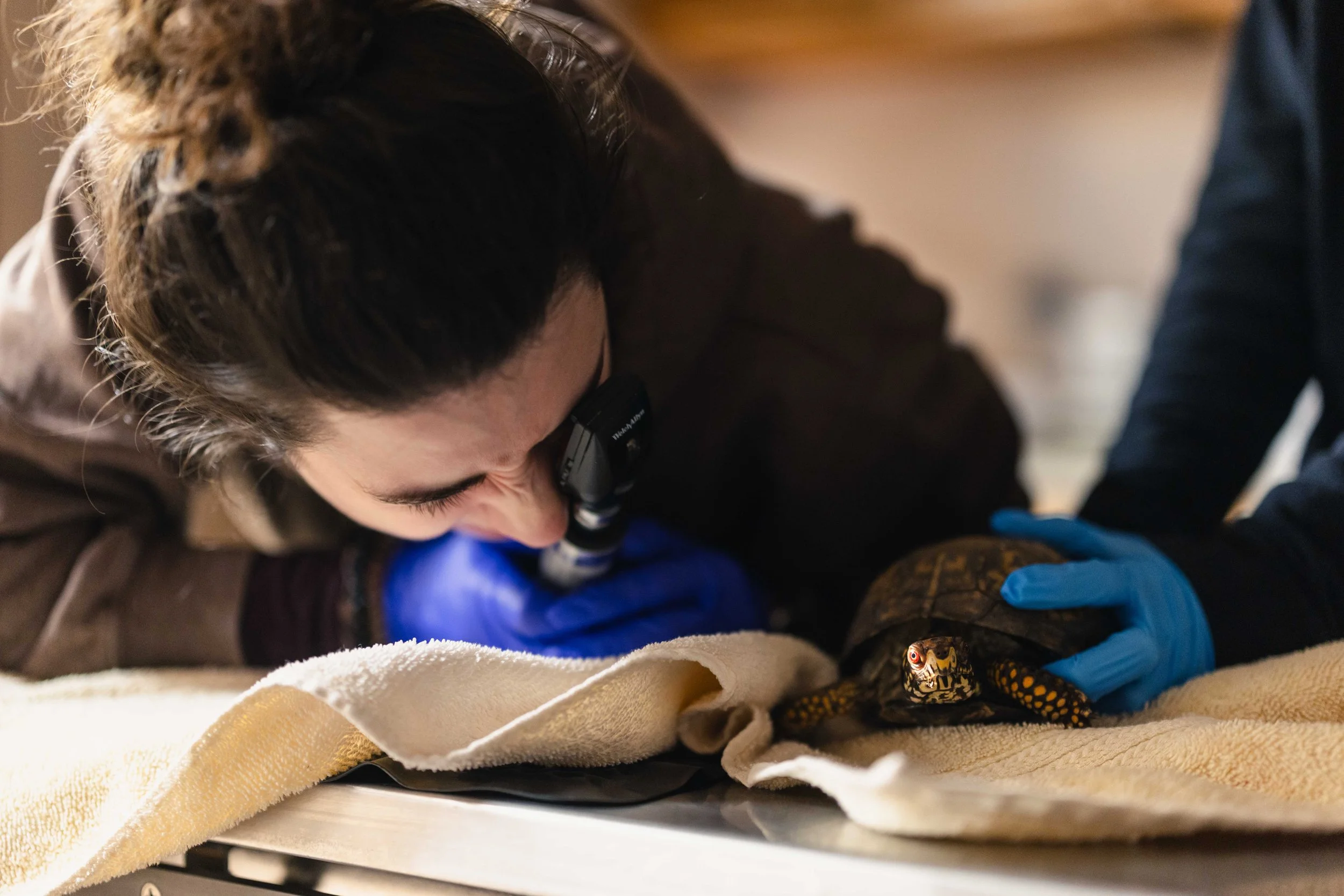 2026.2.13 DFurt MEdia February-3.jpg