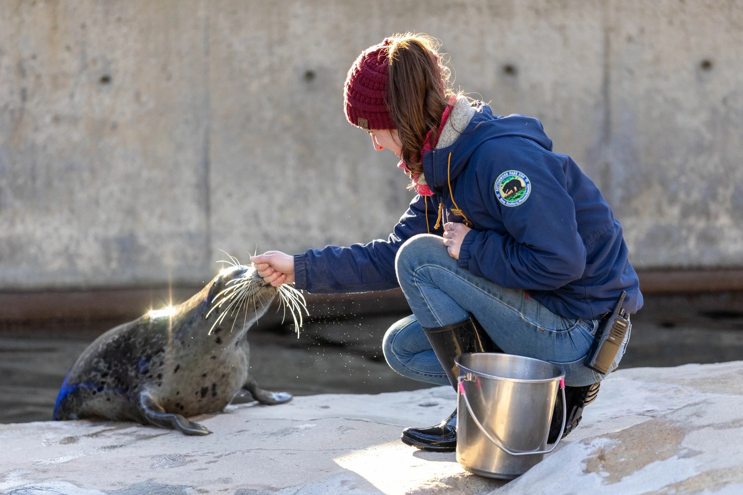 Buttonwood Park Zoological Society