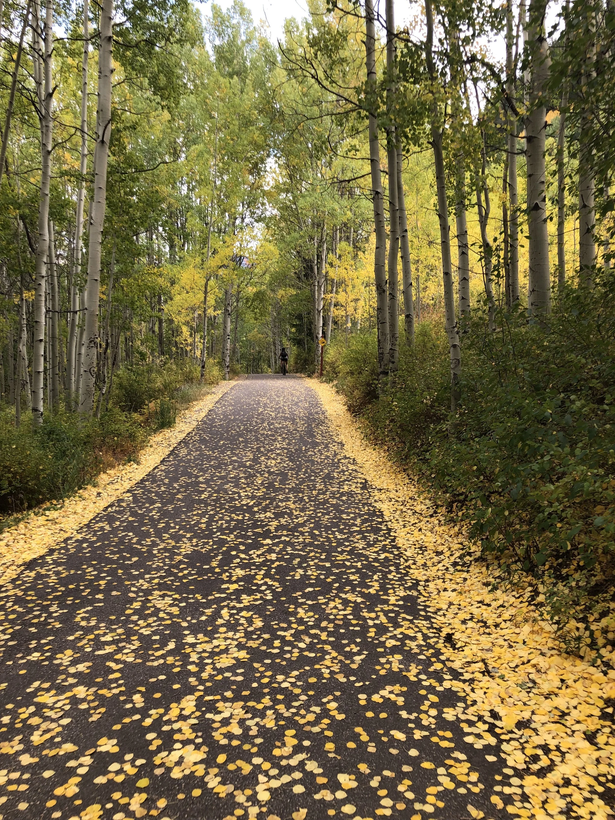 My Path to Becoming a KidLit Author