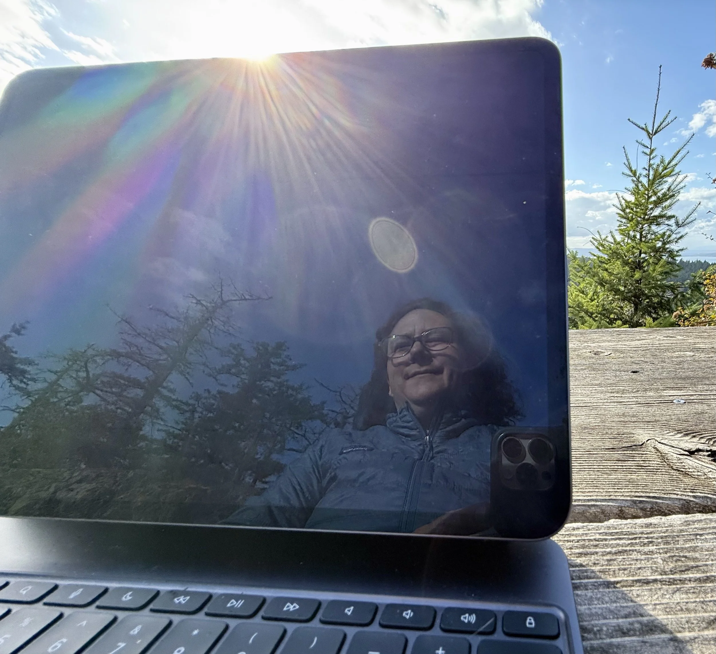 Reflections of a Writer