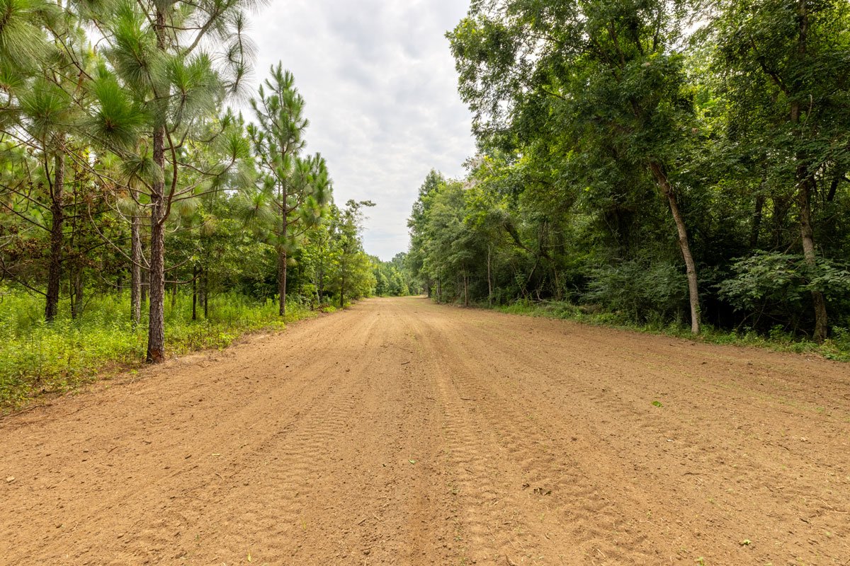 forest-management-georgia-lee-county_72dpi-6.jpg