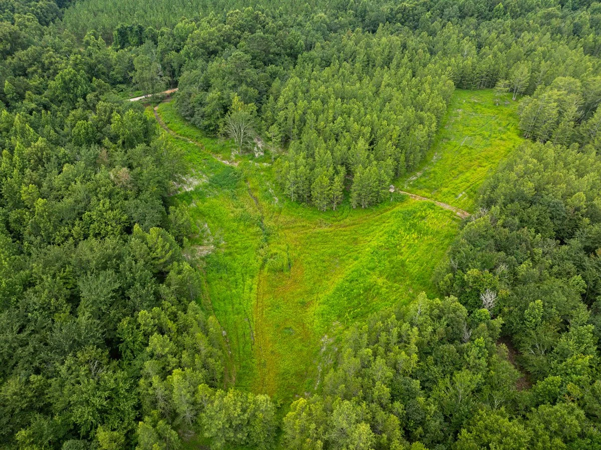 land-for-sale-georgia-lee-county_72dpi-1.jpg