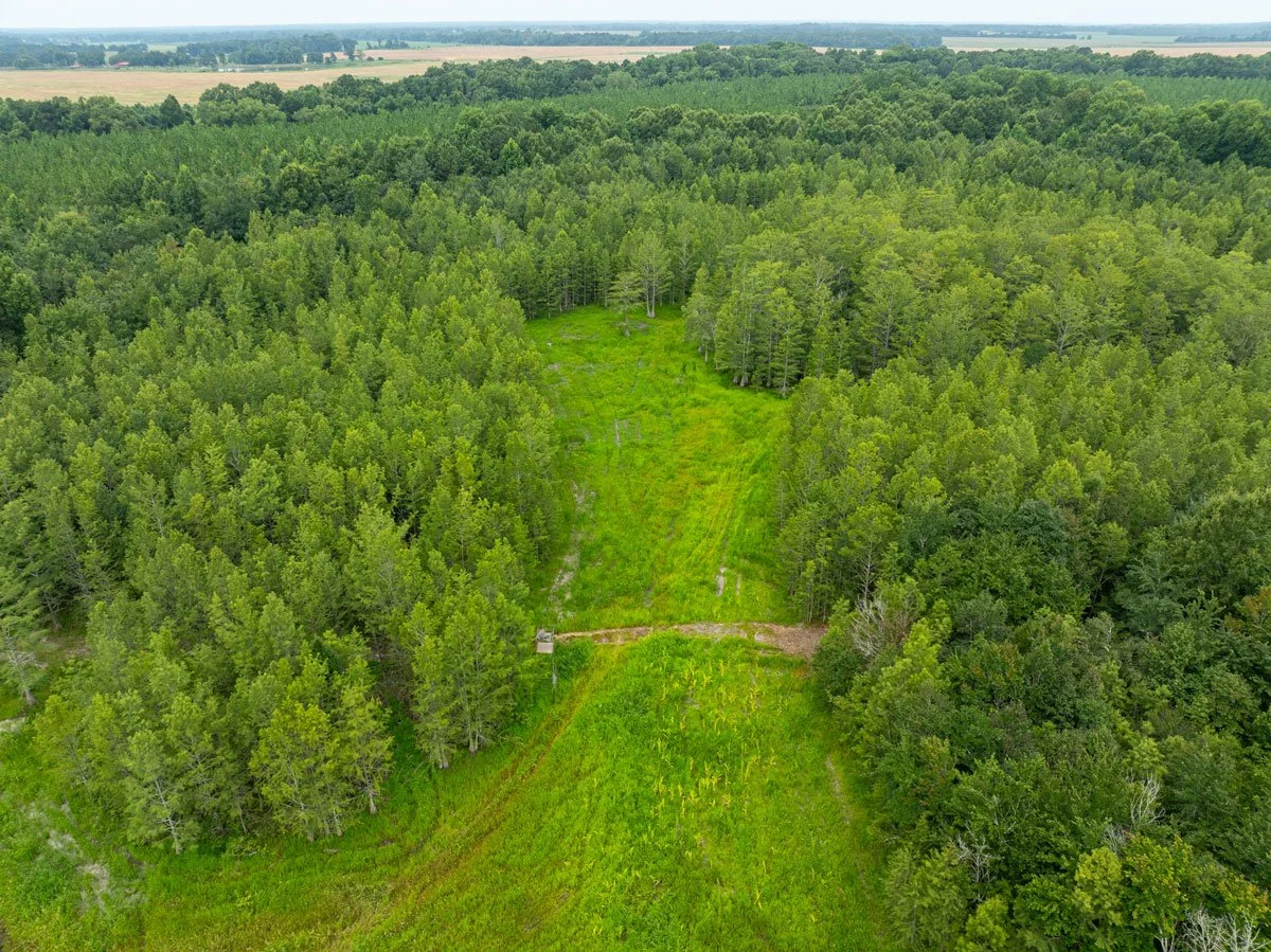 land-for-sale-georgia-lee-county_72dpi-2.jpg