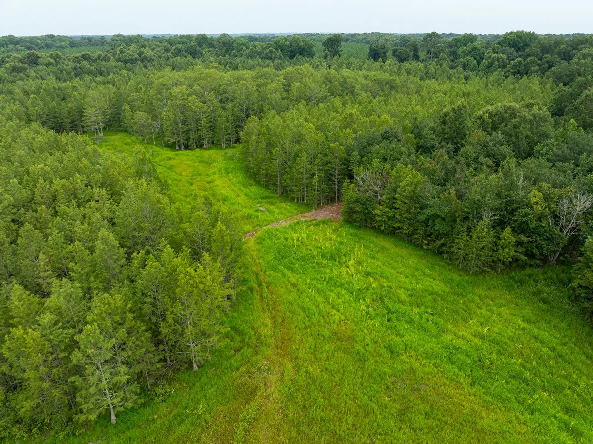 land-for-sale-georgia-lee-county_72dpi-3.jpg
