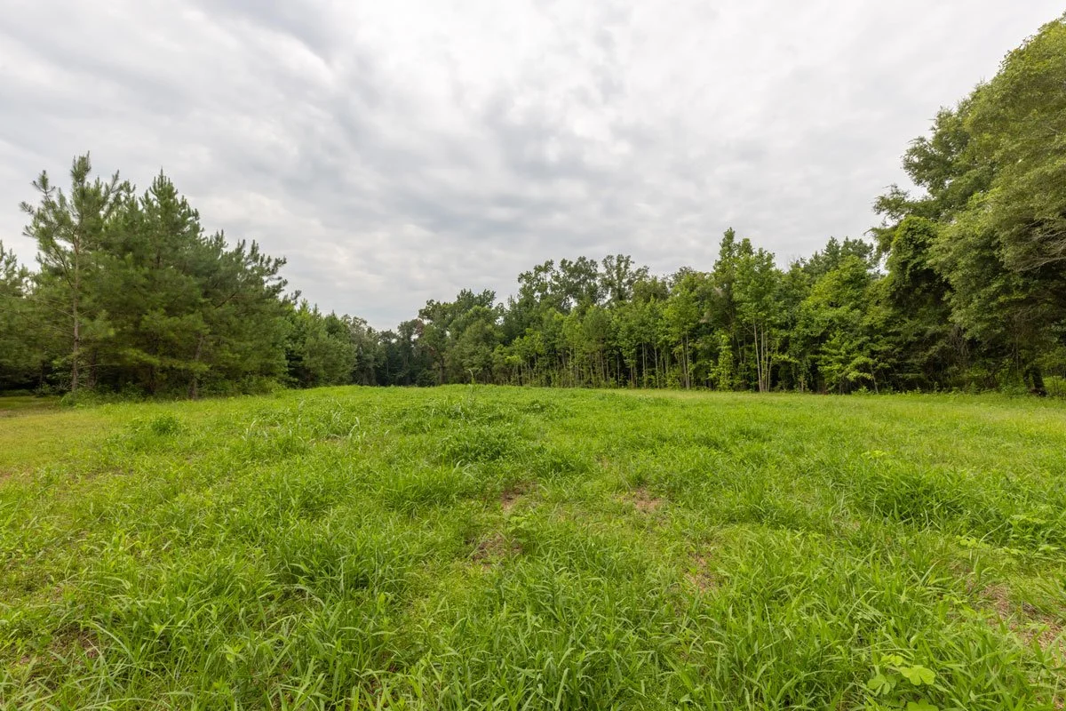land-for-sale-georgia-lee-county_72dpi-7.jpg