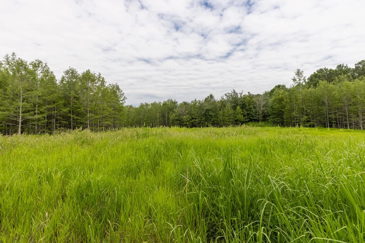 land-for-sale-georgia-lee-county_72dpi-8.jpg
