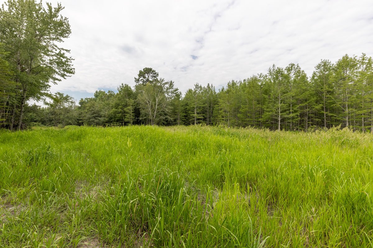 land-for-sale-georgia-lee-county_72dpi-9.jpg