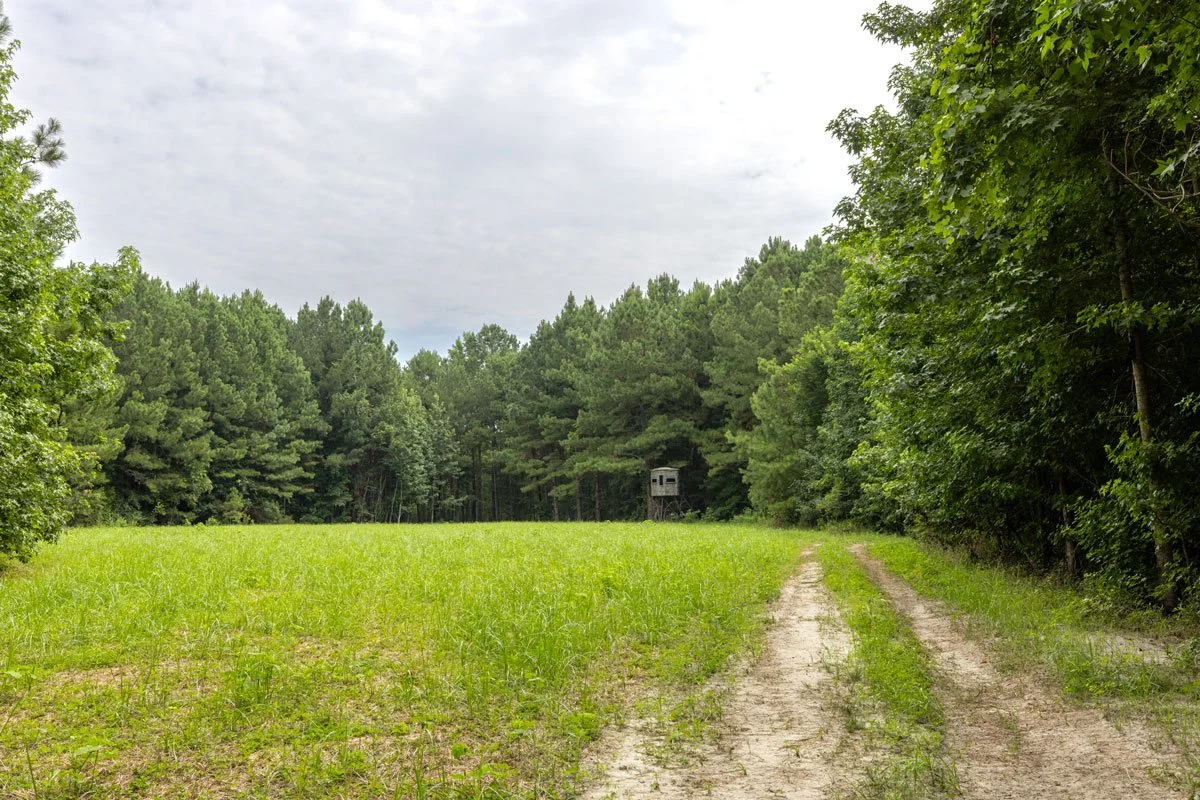land-for-sale-georgia-lee-county_72dpi-11.jpg
