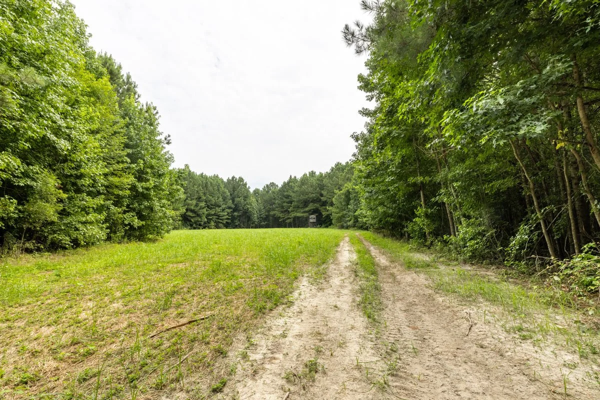 land-for-sale-georgia-lee-county_72dpi-12.jpg
