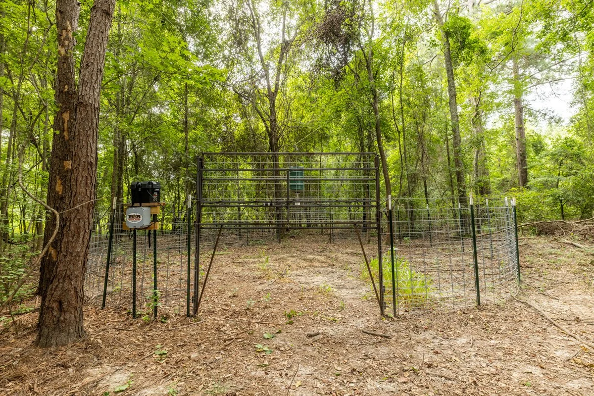 land-for-sale-georgia-lee-county_72dpi-13.jpg