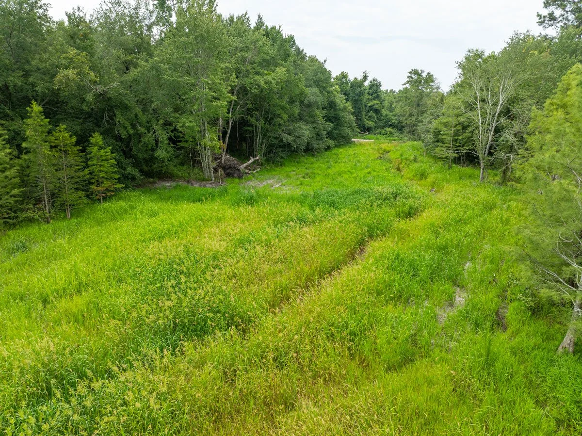 A lush green land and farm property with tall grasses and trees on both sides, under a cloudy sky.